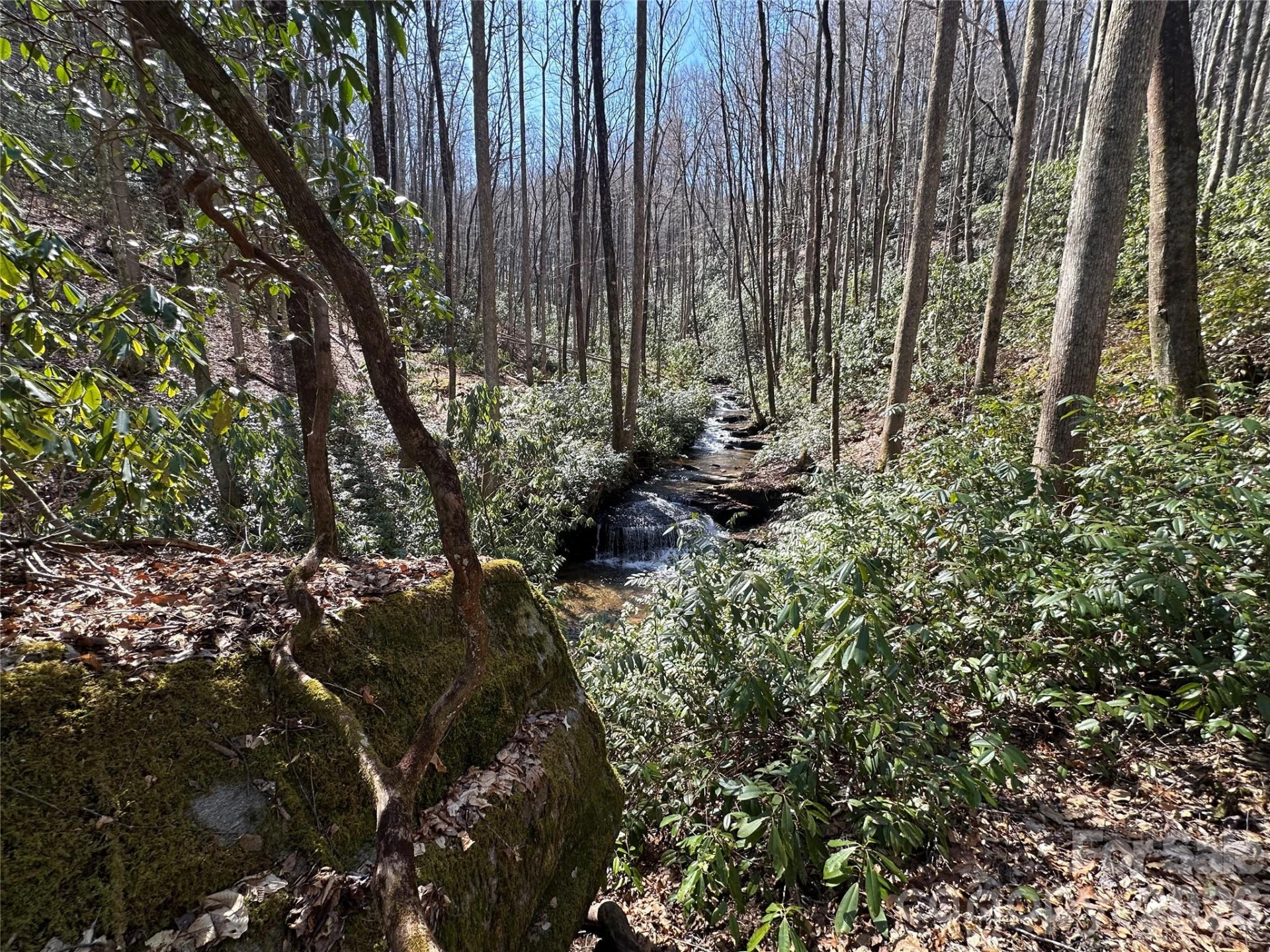 361 Rooster Cove - Photo 11