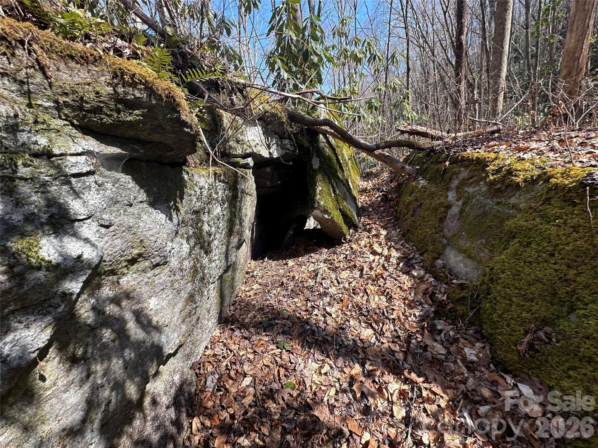 361 Rooster Cove - Photo 12