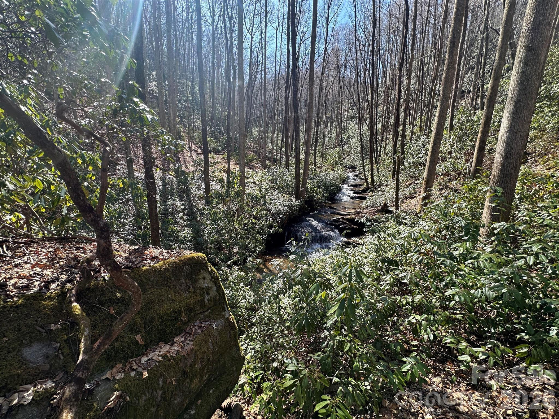 361 Rooster Cove - Photo 13