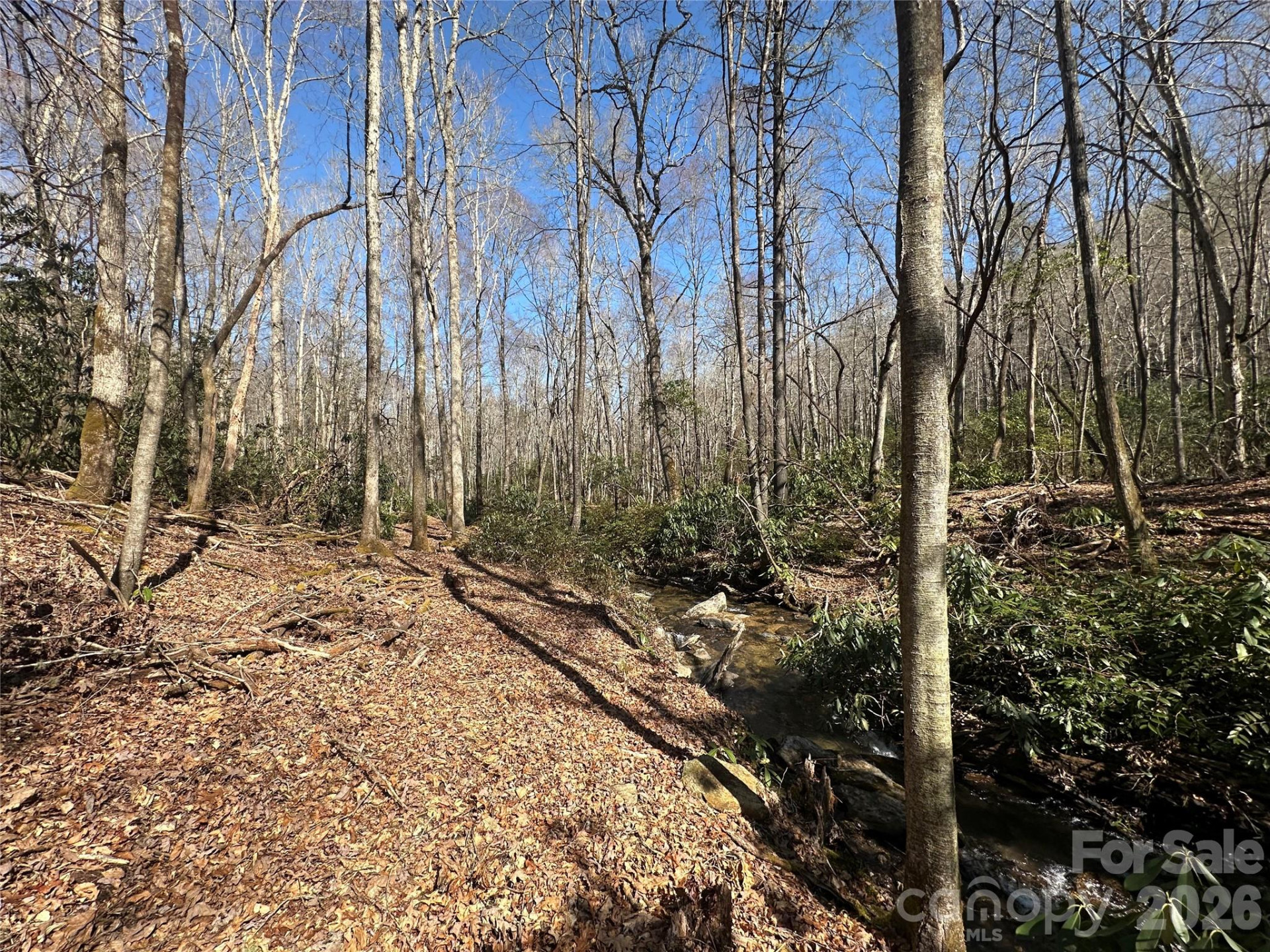 361 Rooster Cove - Photo 14