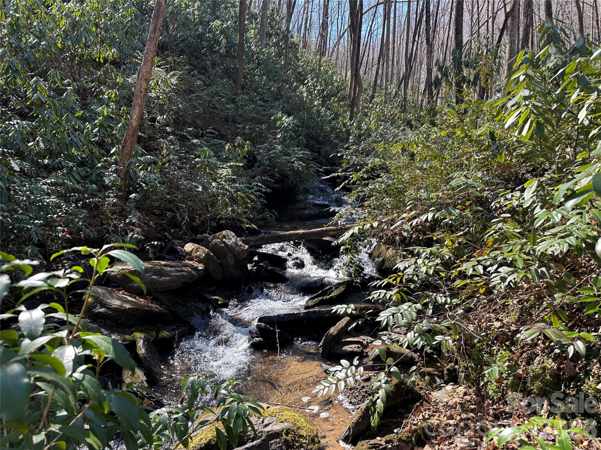 361 Rooster Cove - Photo 15