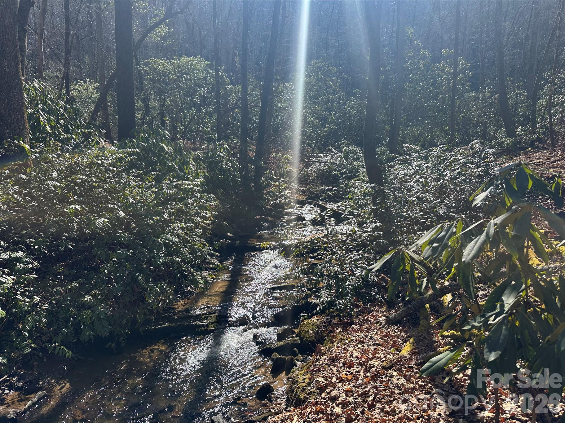 361 Rooster Cove - Photo 16