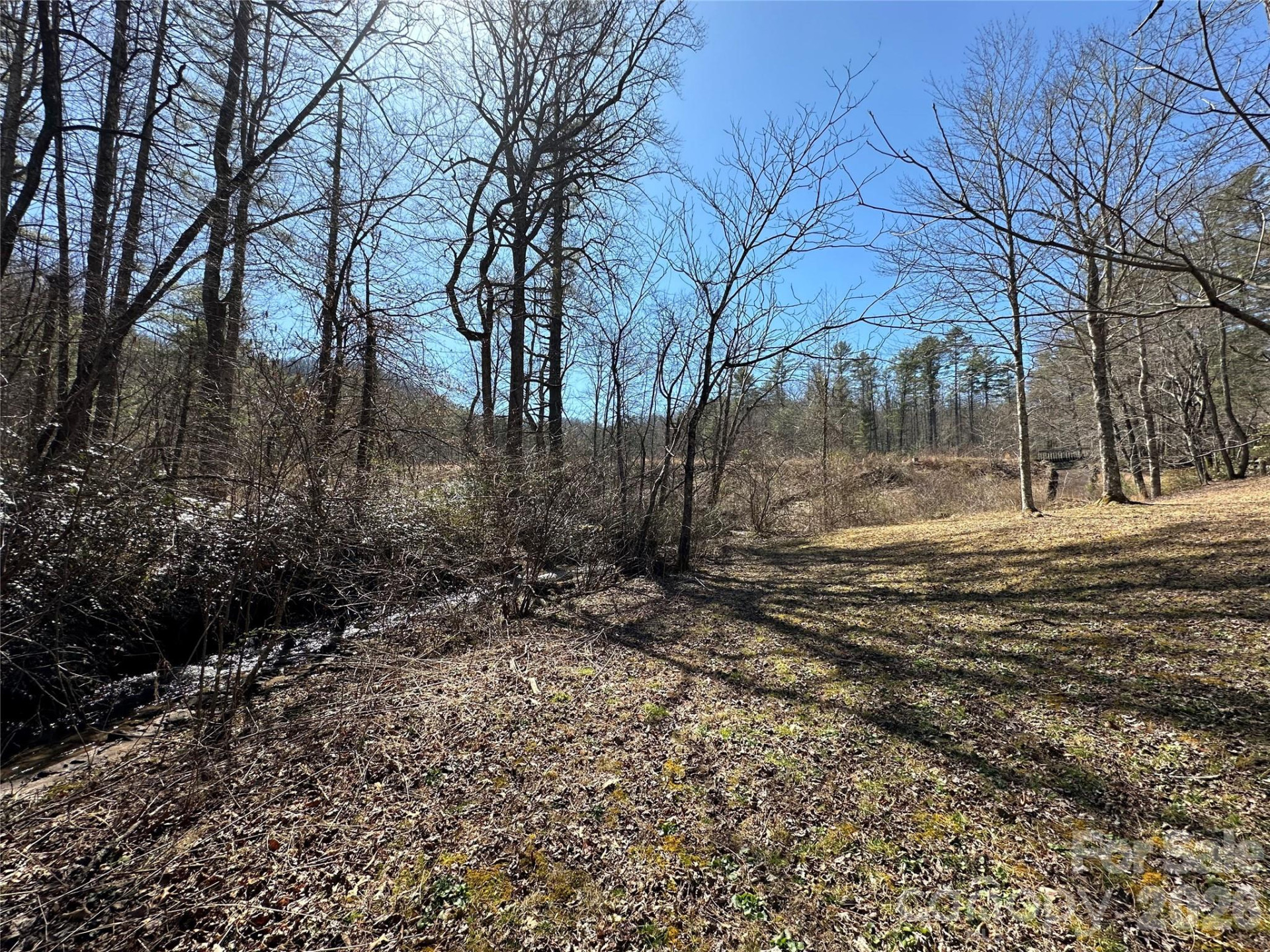 361 Rooster Cove - Photo 20