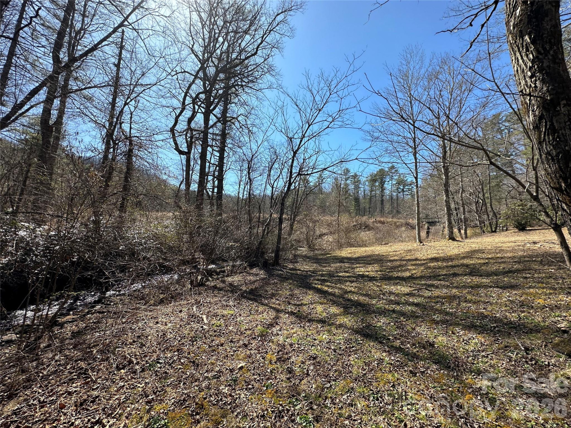 361 Rooster Cove - Photo 21