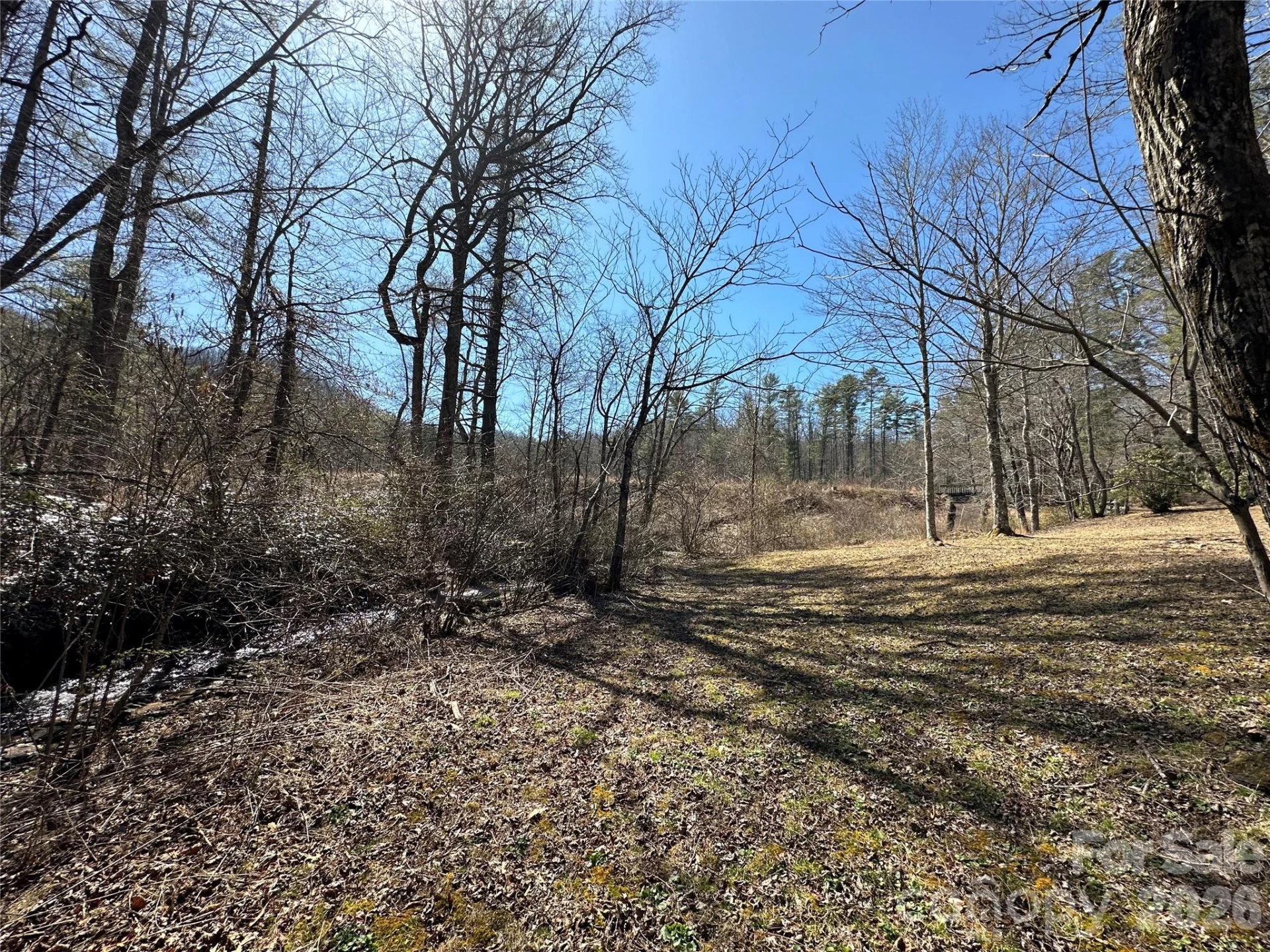 361 Rooster Cove - Photo 21