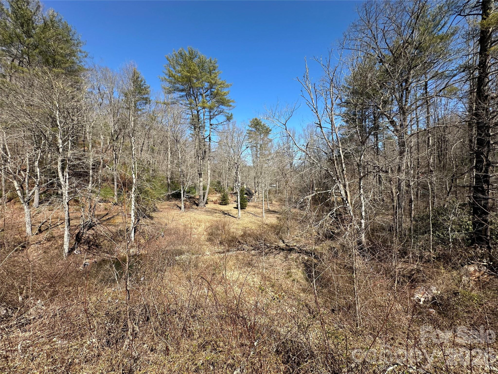 361 Rooster Cove - Photo 23