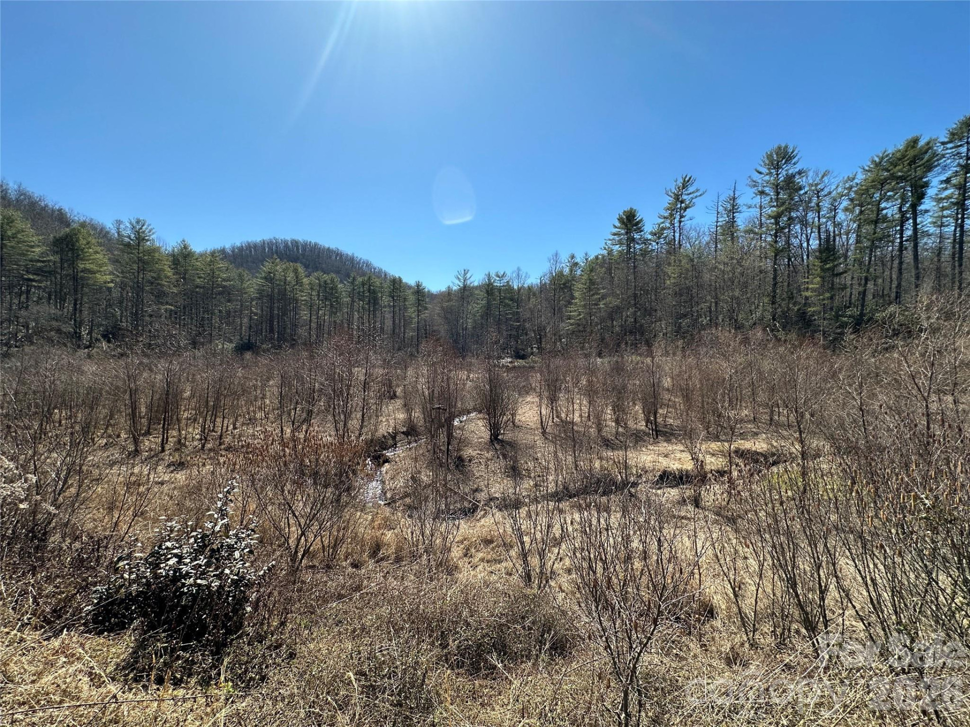 361 Rooster Cove - Photo 24