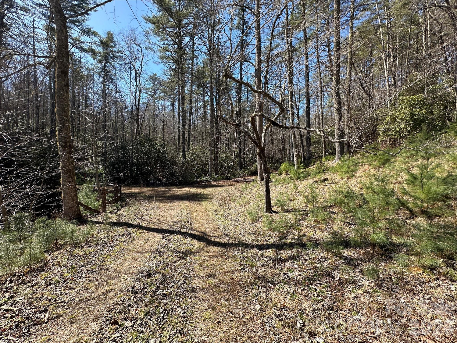 361 Rooster Cove - Photo 25