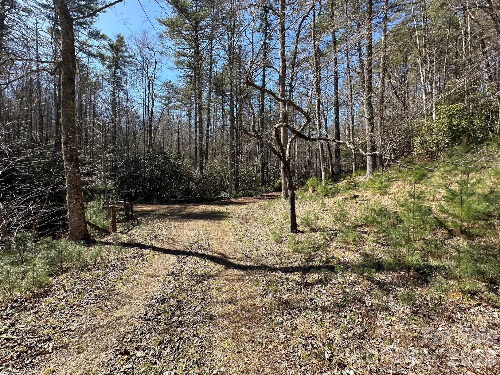 361 Rooster Cove - Photo 25