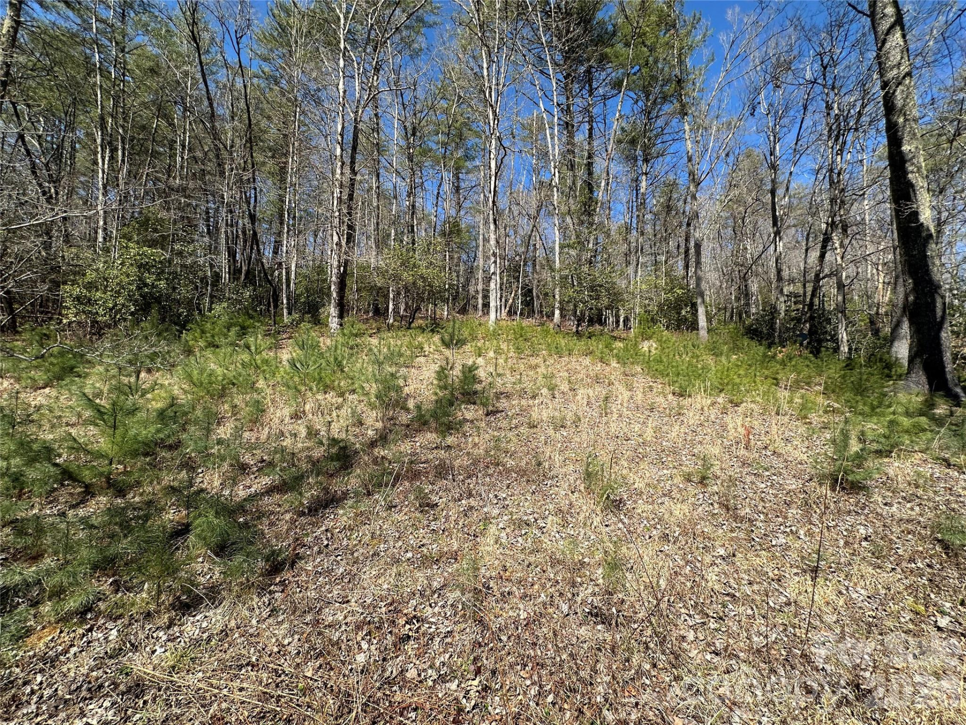 361 Rooster Cove - Photo 26