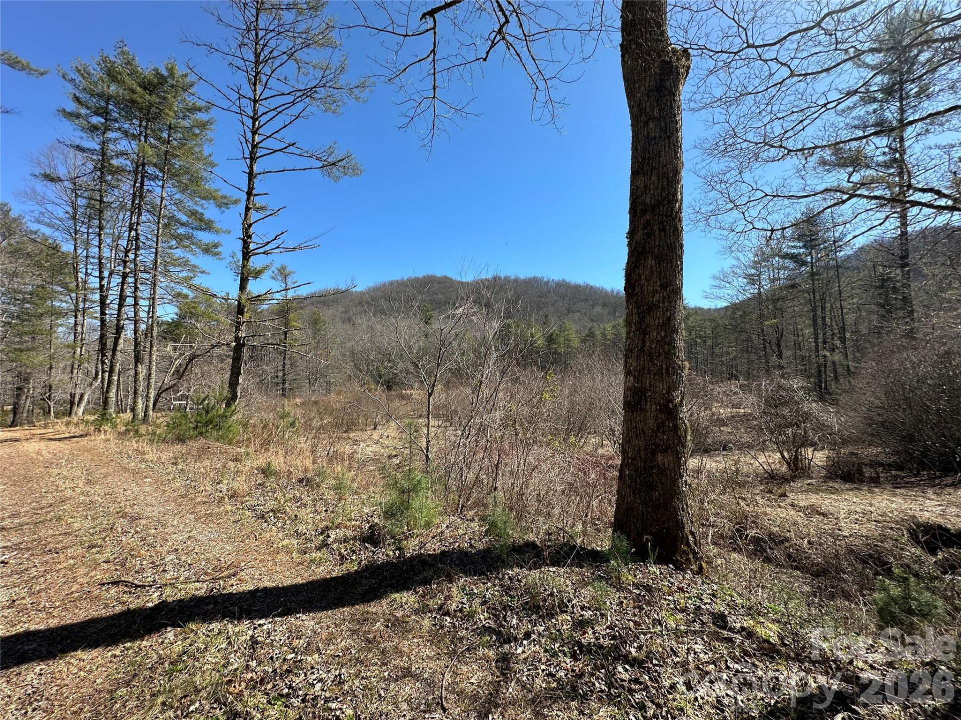 361 Rooster Cove - Photo 27