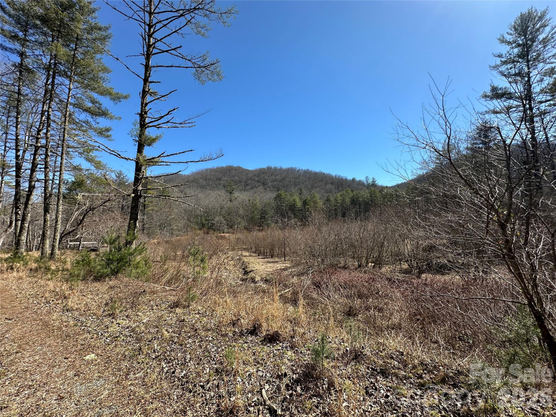 361 Rooster Cove - Photo 28