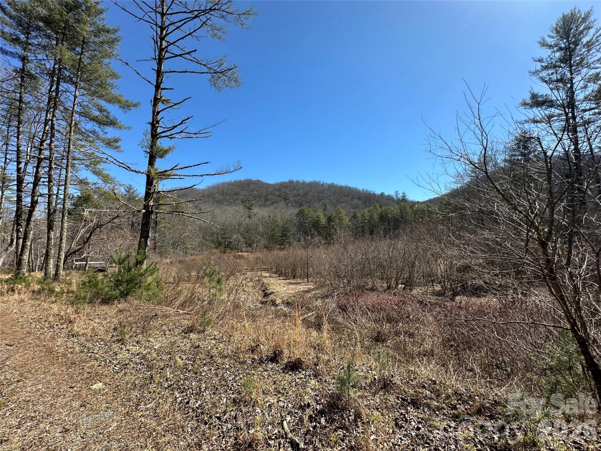 361 Rooster Cove - Photo 28