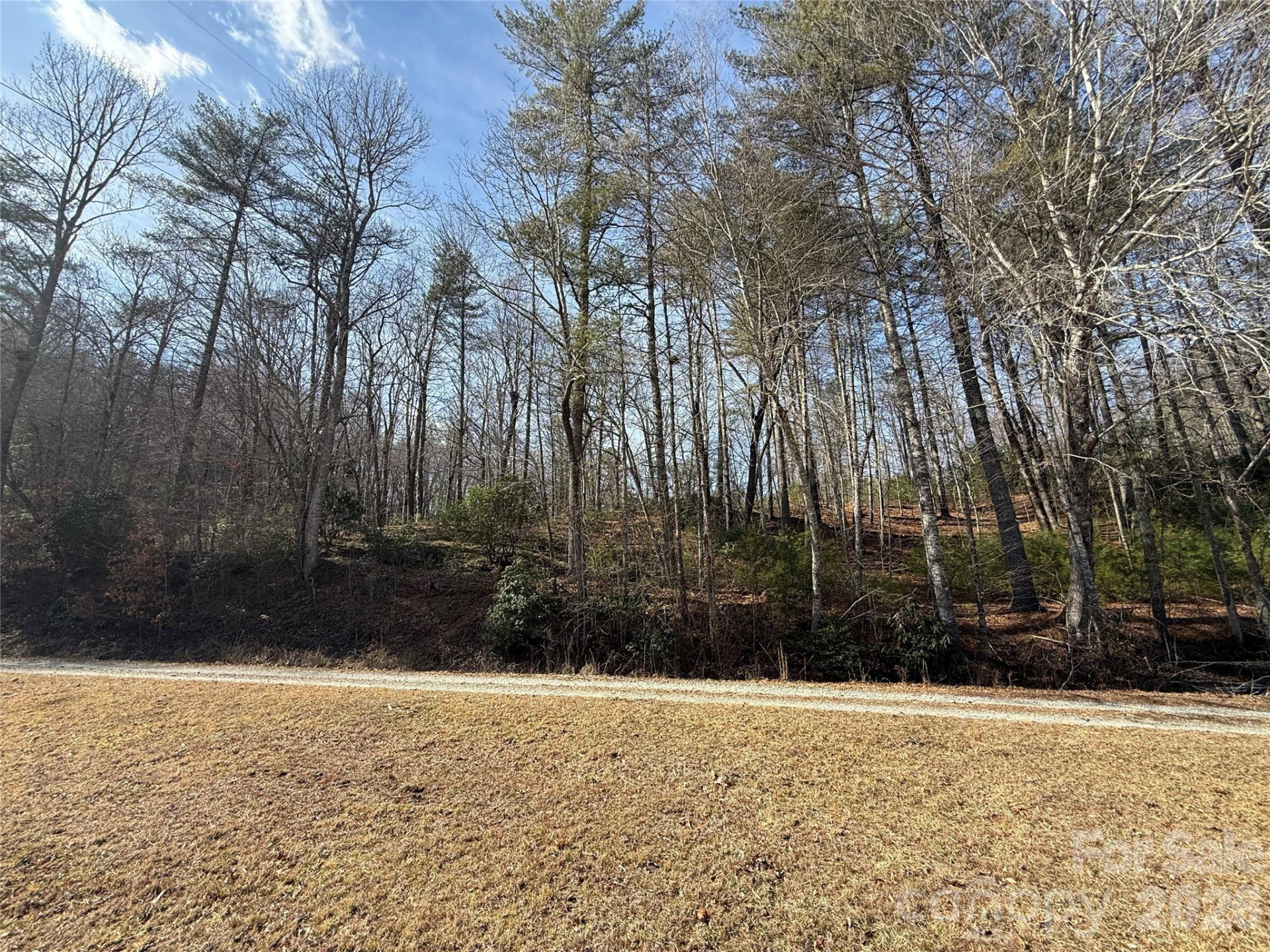 361 Rooster Cove - Photo 5