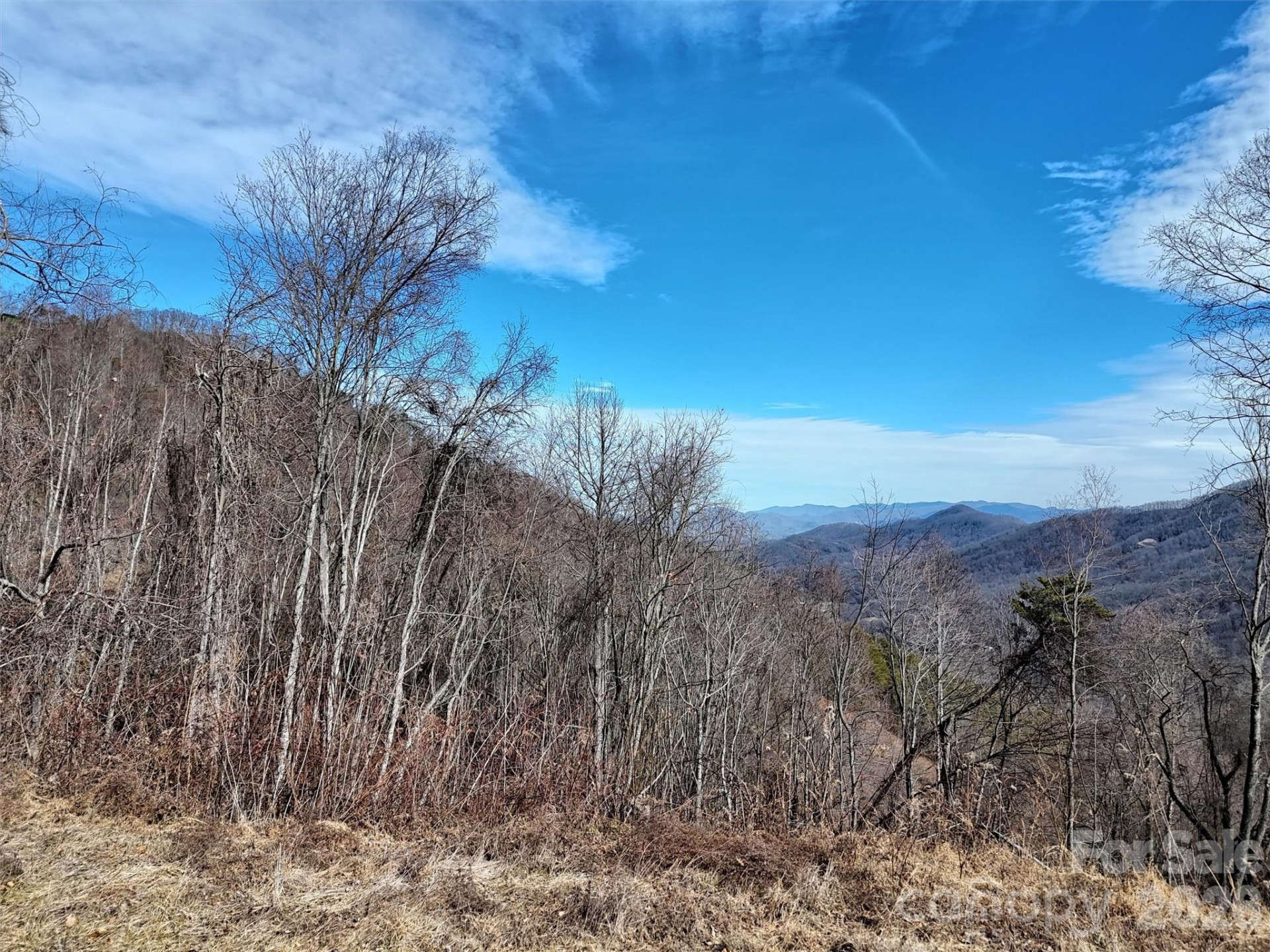 TBD Rock Ridge Road #9A & 9B - Photo 11