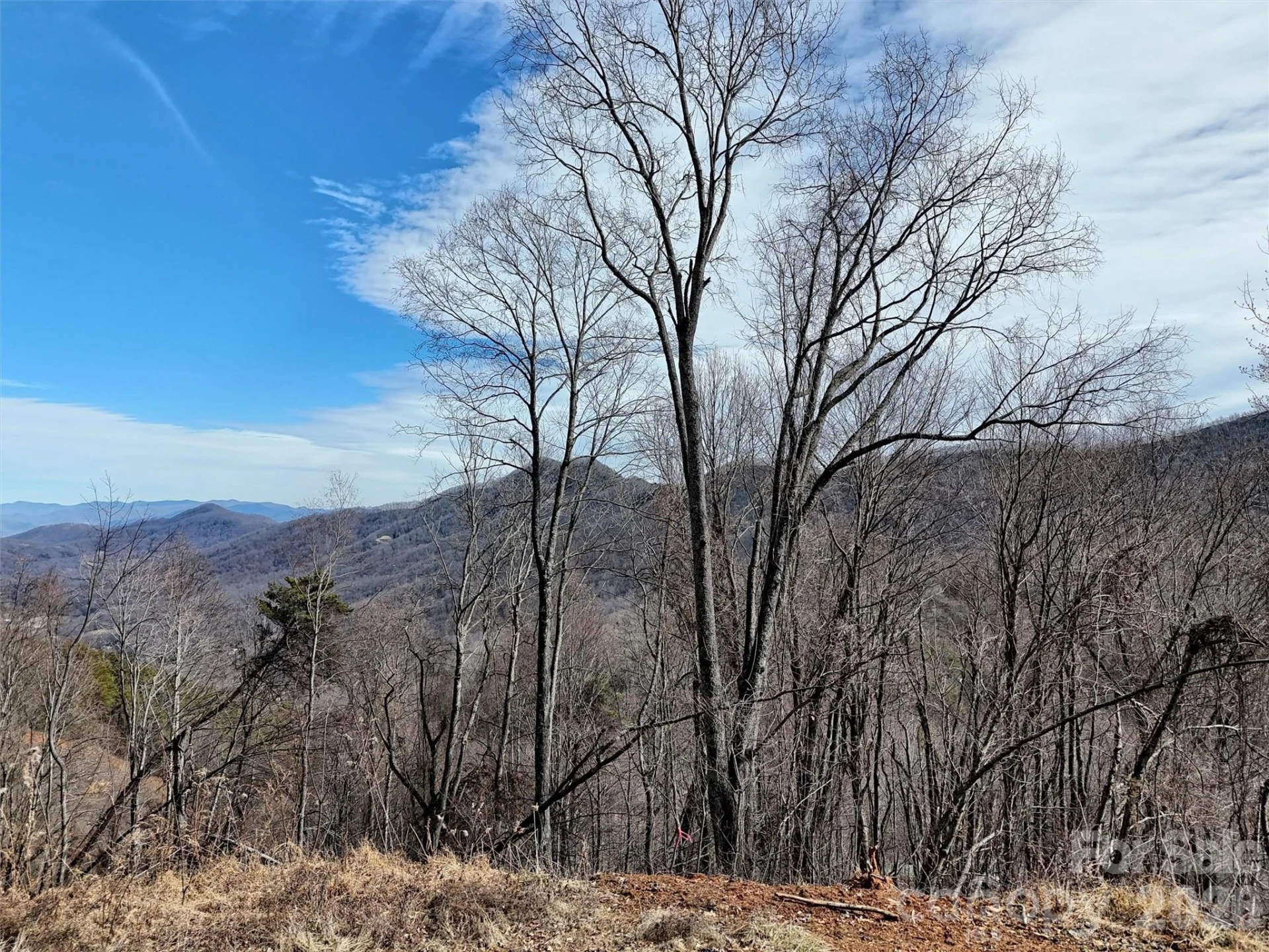 TBD Rock Ridge Road #9A & 9B - Photo 12