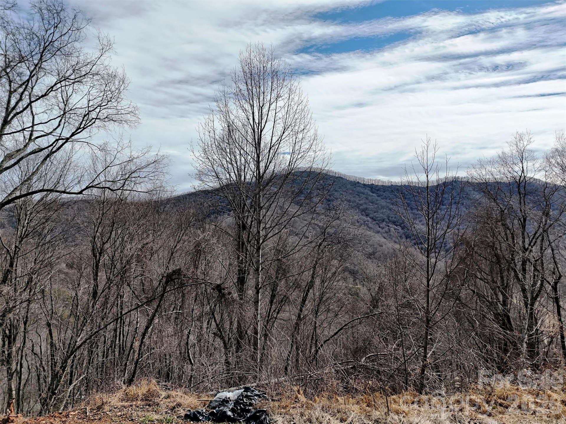 TBD Rock Ridge Road #9A & 9B - Photo 13