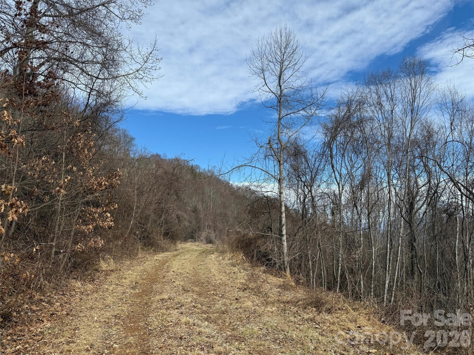 TBD Rock Ridge Road #9A & 9B - Photo 16