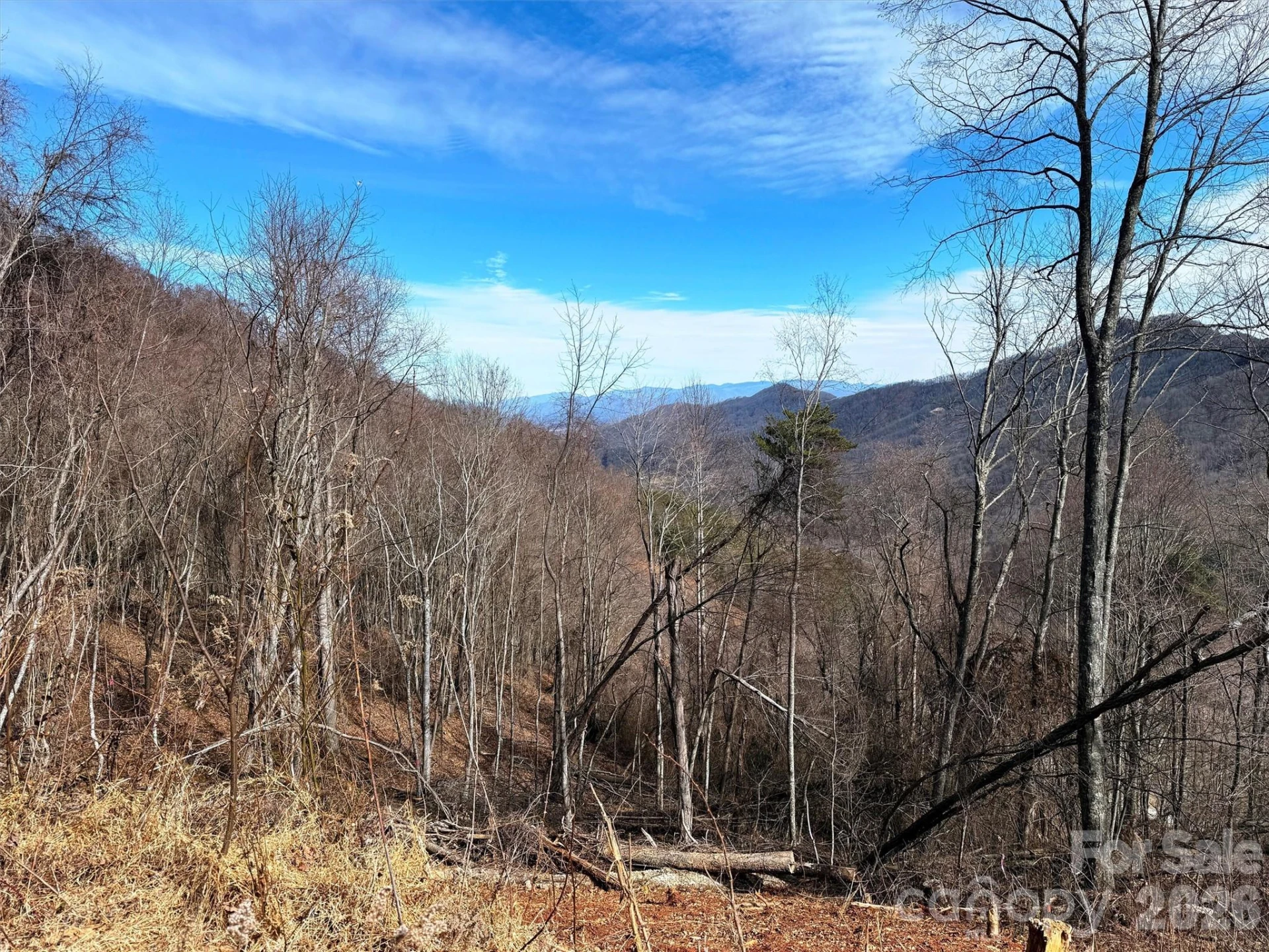TBD Rock Ridge Road #9A & 9B - Photo 17