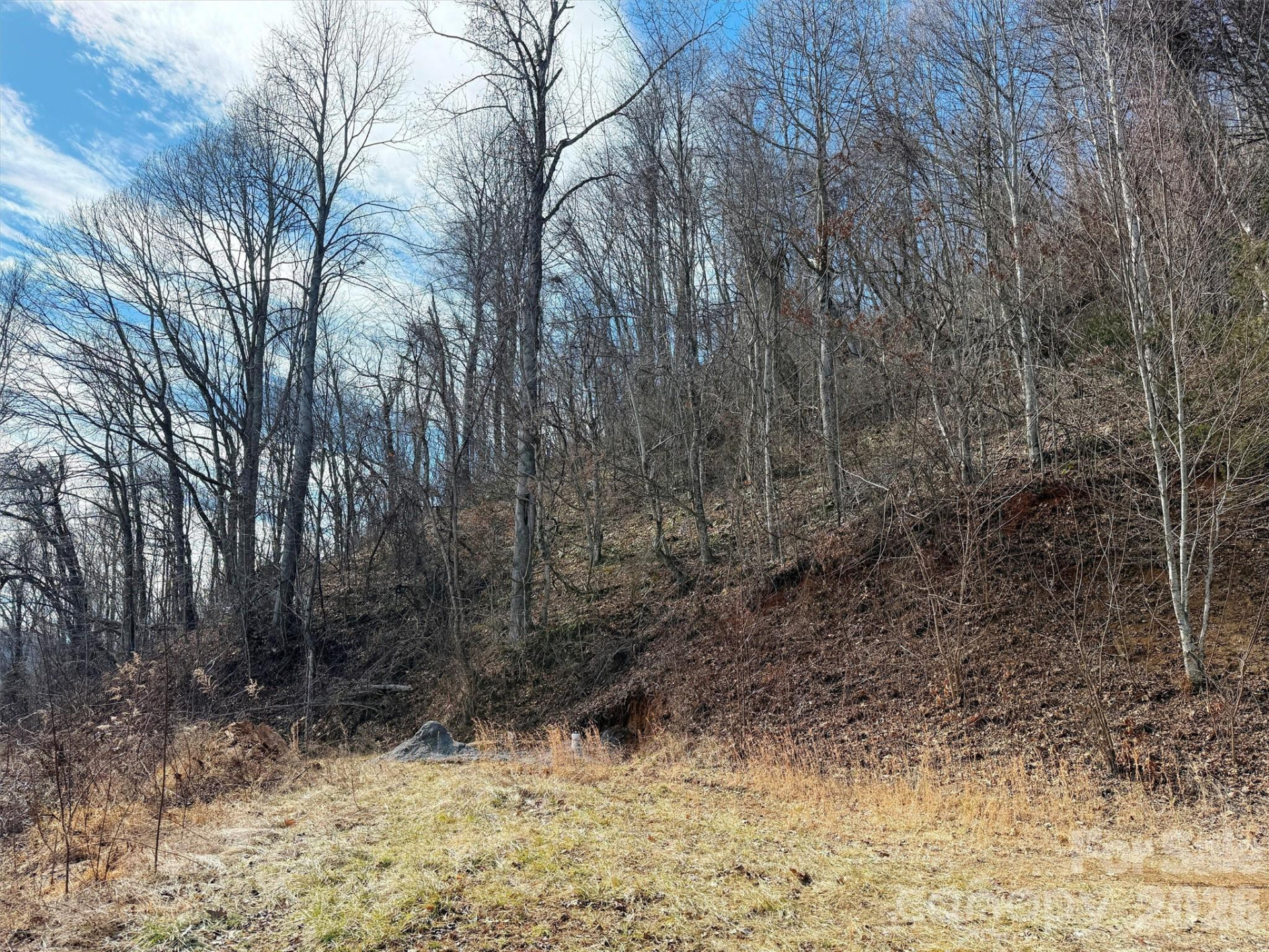 TBD Rock Ridge Road #9A & 9B - Photo 18