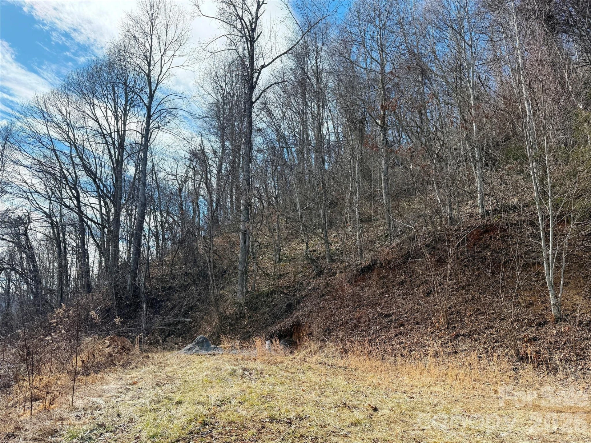 TBD Rock Ridge Road #9A & 9B - Photo 18