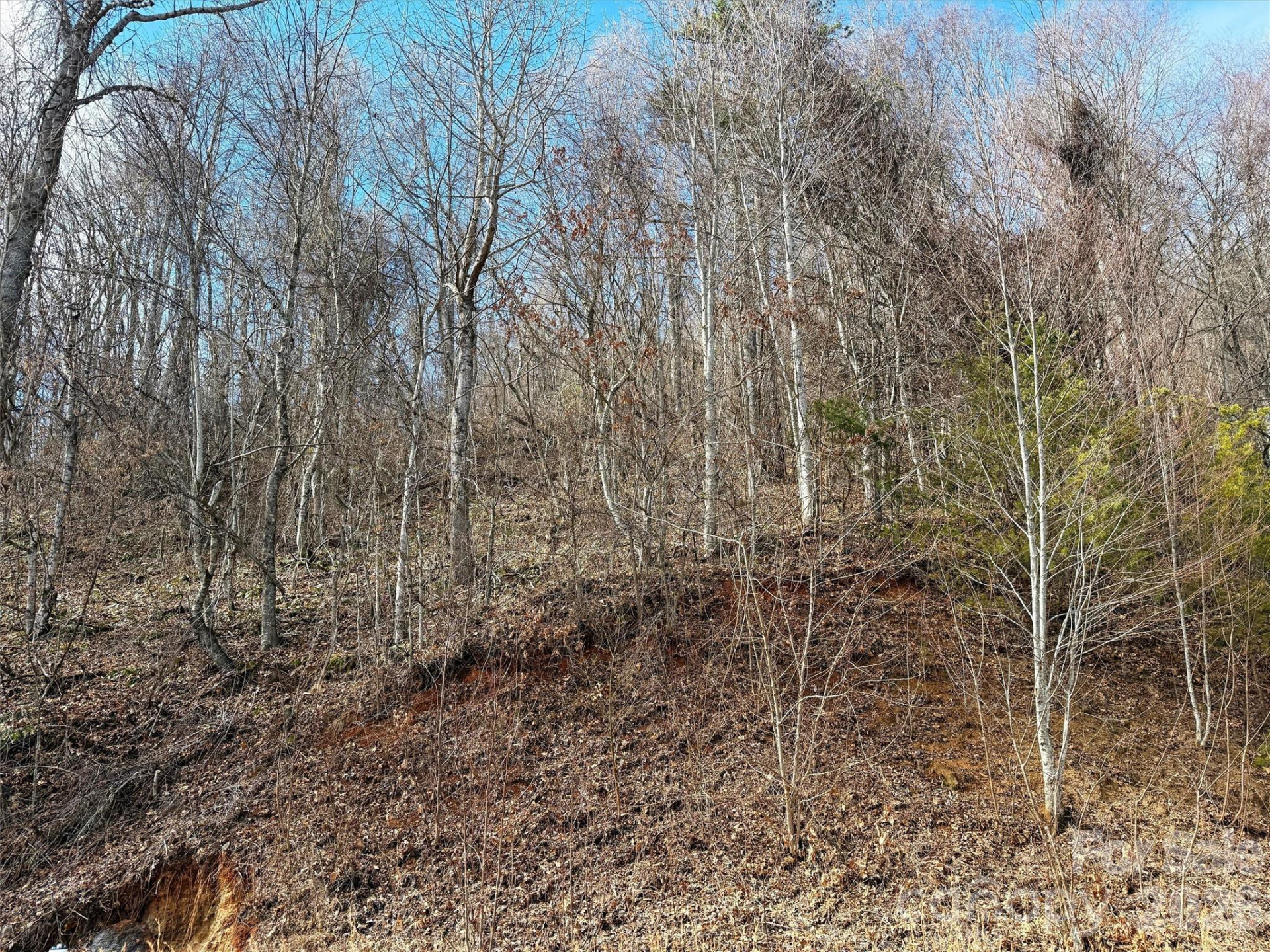 TBD Rock Ridge Road #9A & 9B - Photo 19