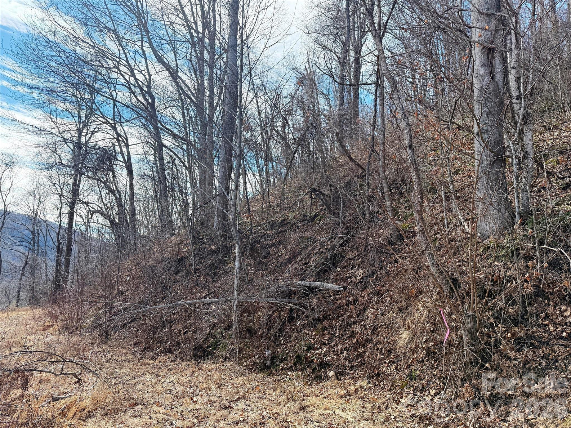 TBD Rock Ridge Road #9A & 9B - Photo 20