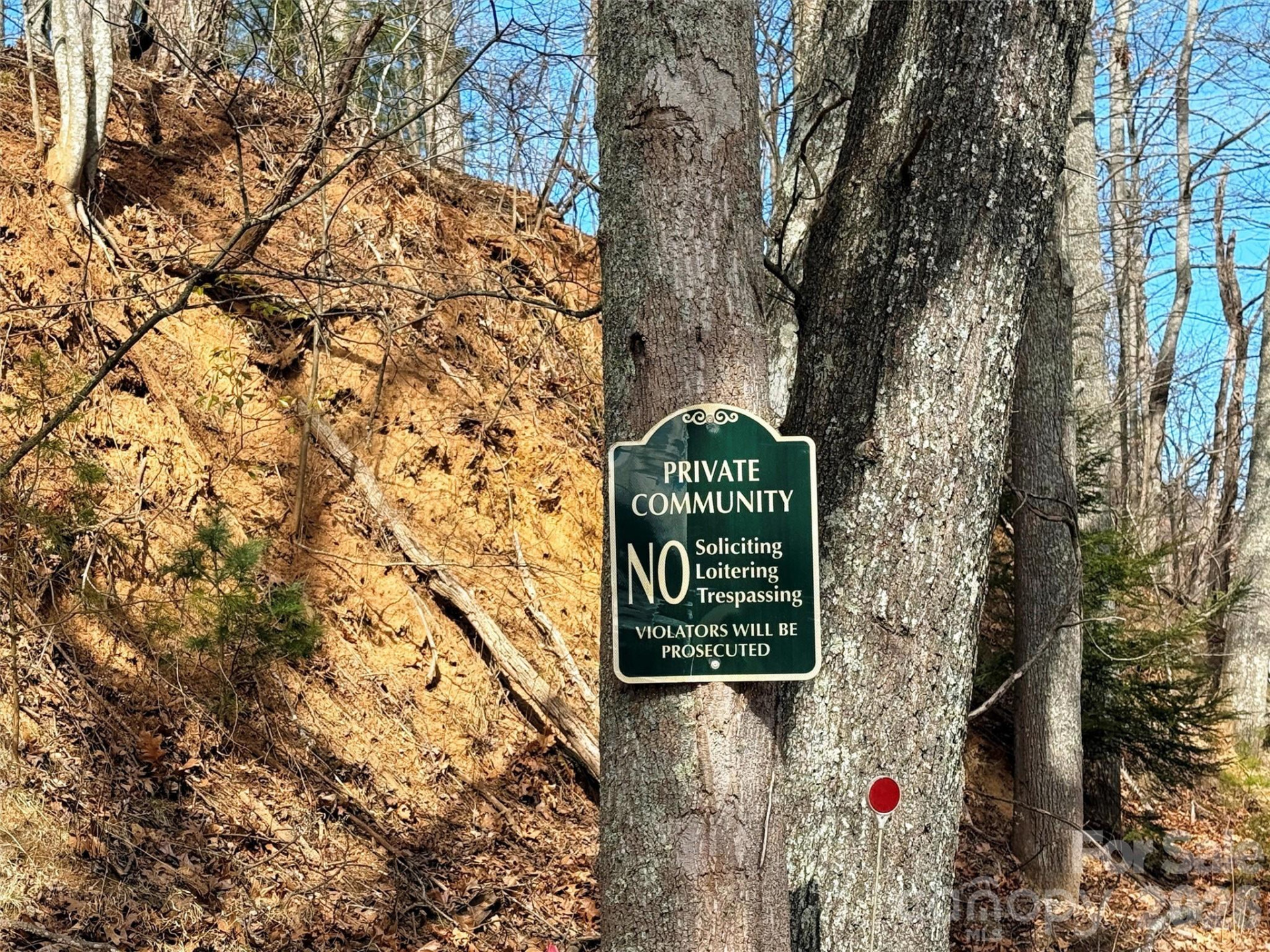 TBD Rock Ridge Road #9A & 9B - Photo 3