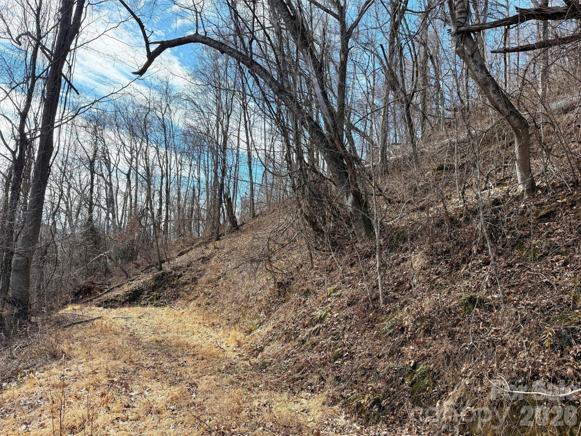 TBD Rock Ridge Road #9A & 9B - Photo 24