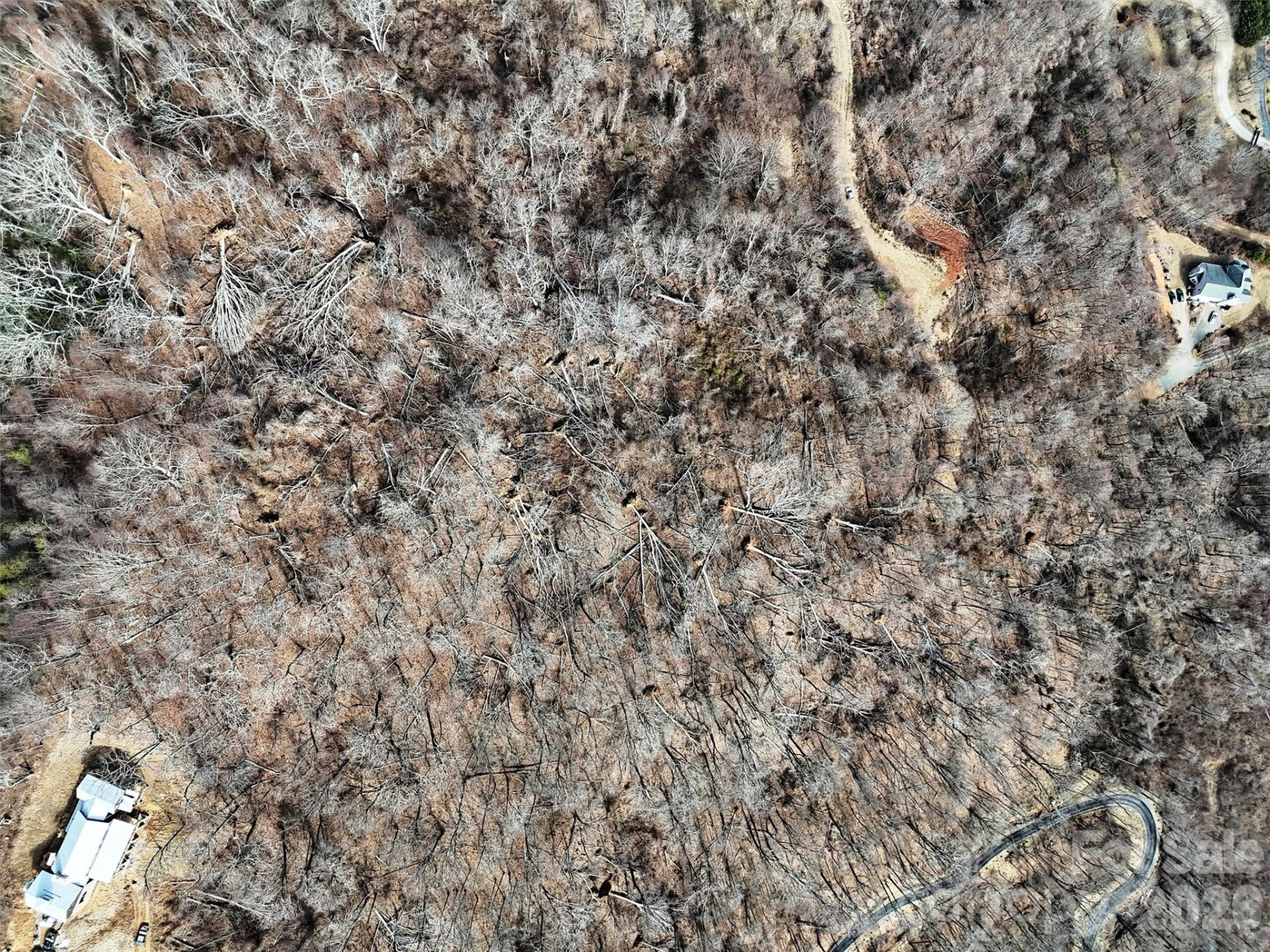 TBD Rock Ridge Road #9A & 9B - Photo 5