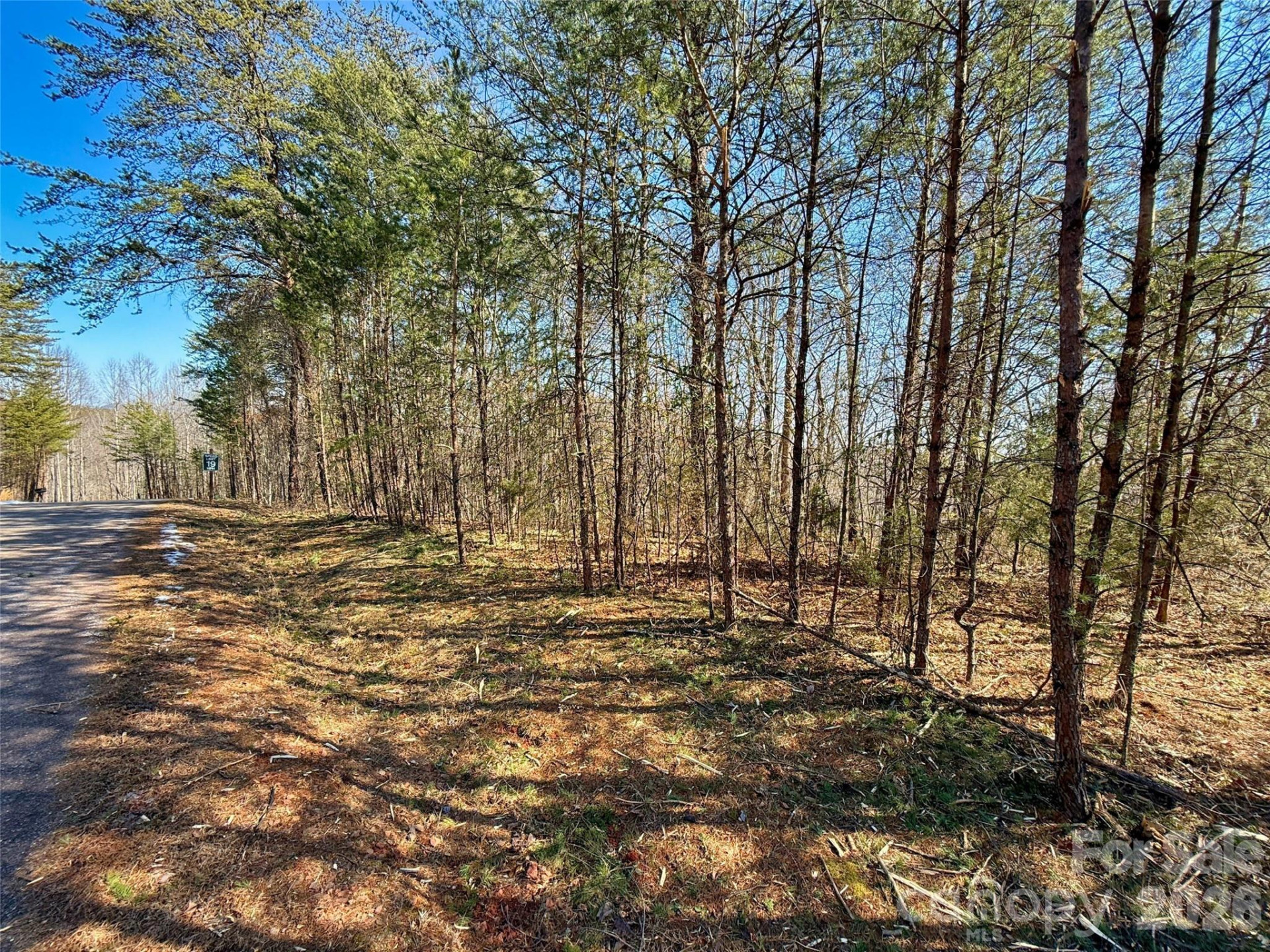 Lots 79 80 100 Westridge Drive - Photo 2