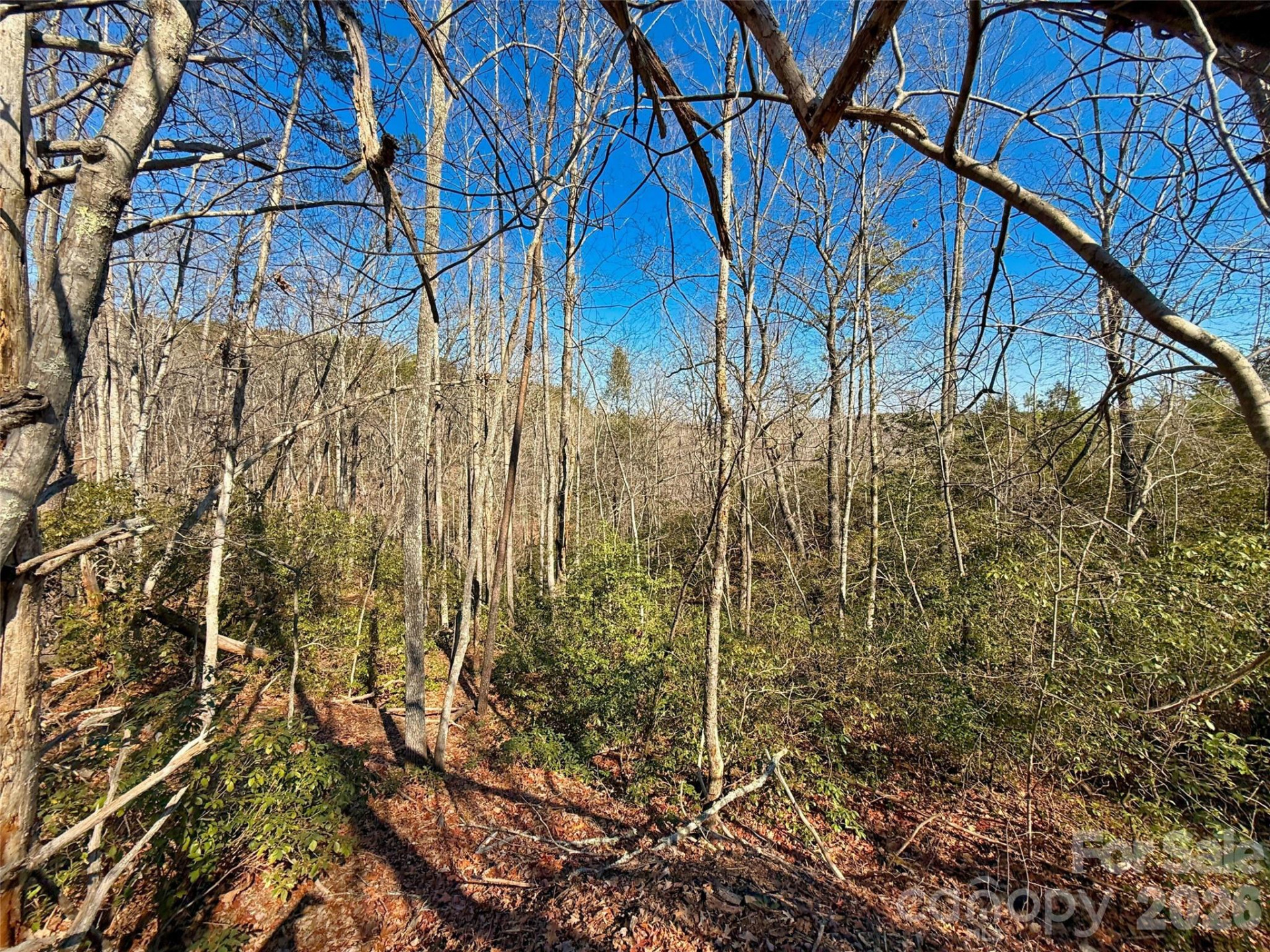 Lots 79 80 100 Westridge Drive - Photo 4