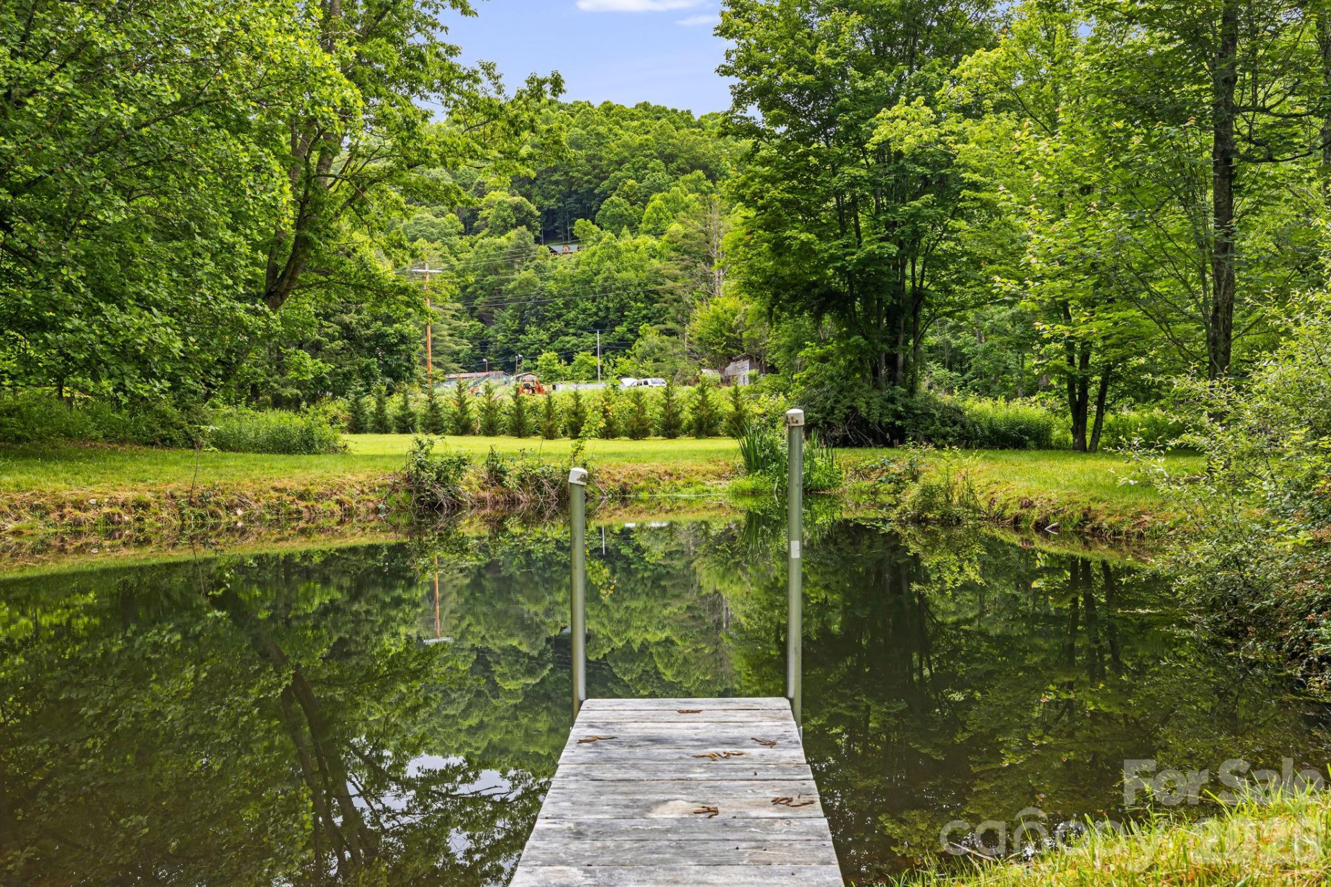 3245 Puncheon Fork Road - Photo 8