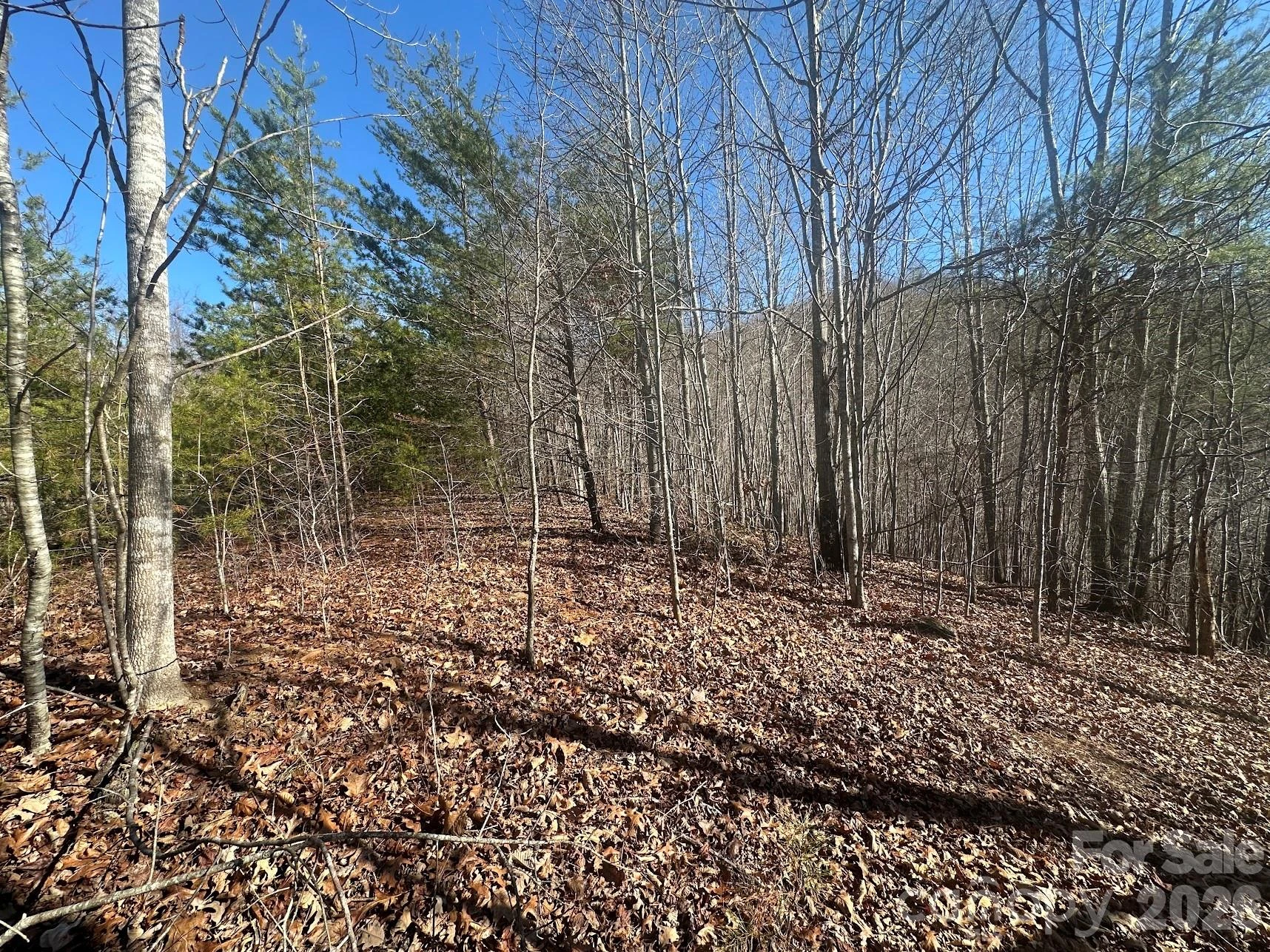 127 Robinwood Trail