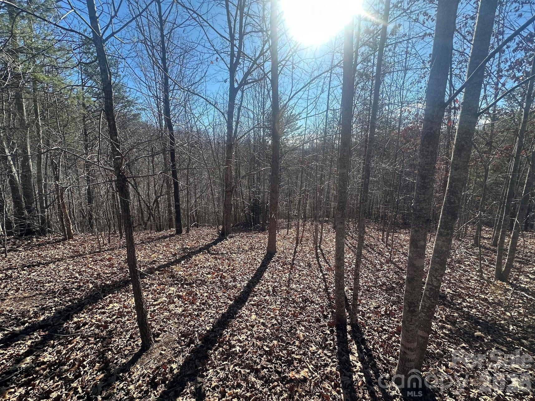 127 Robinwood Trail - Photo 2