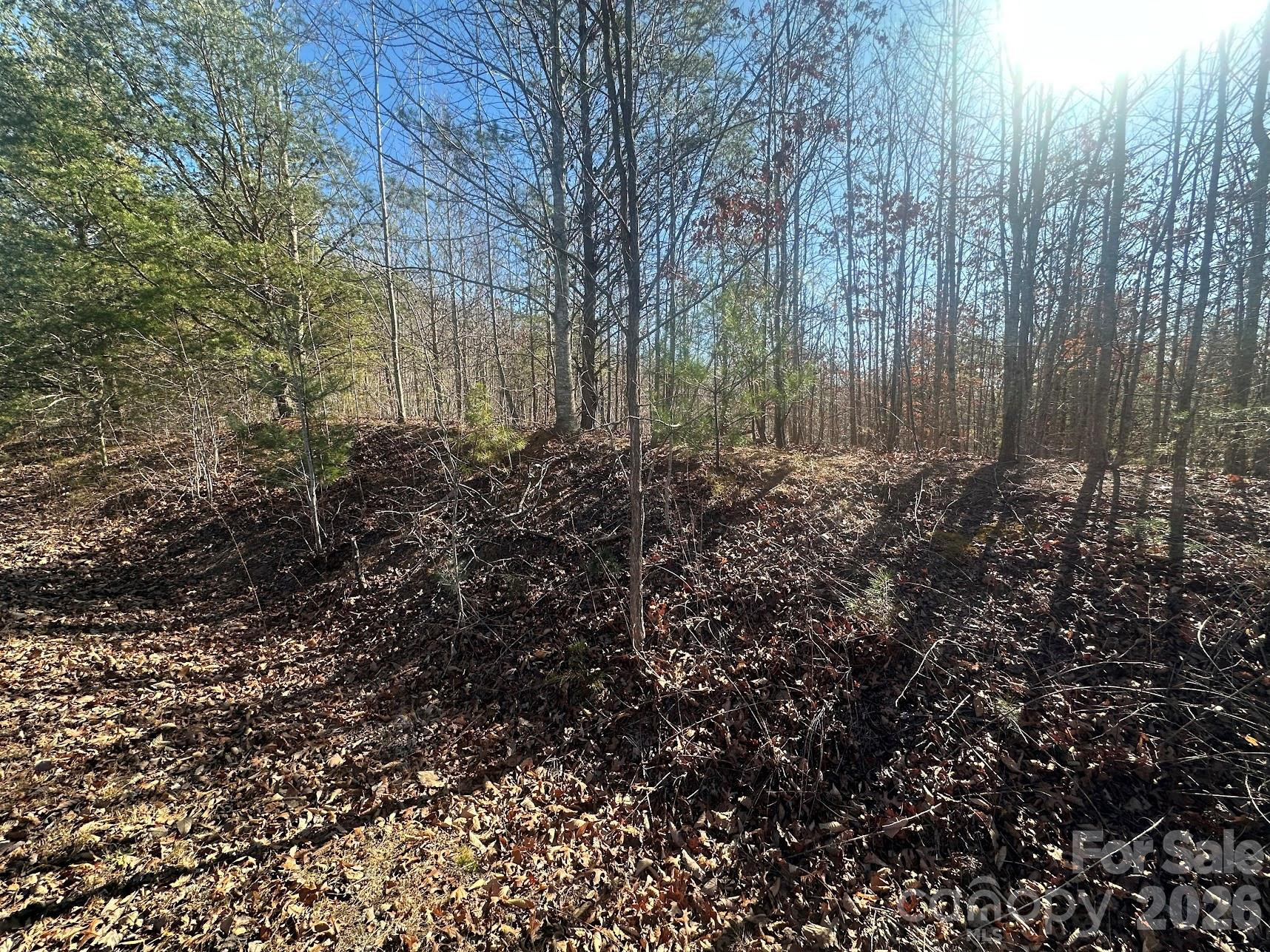 127 Robinwood Trail - Photo 3