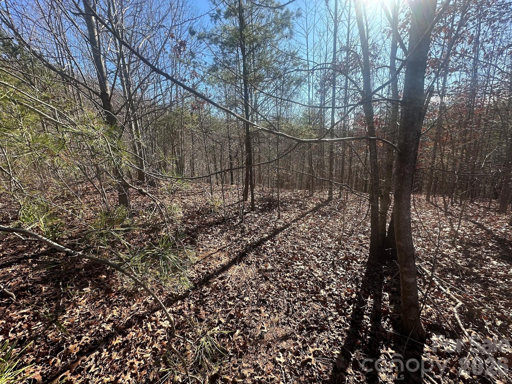 127 Robinwood Trail - Photo 4