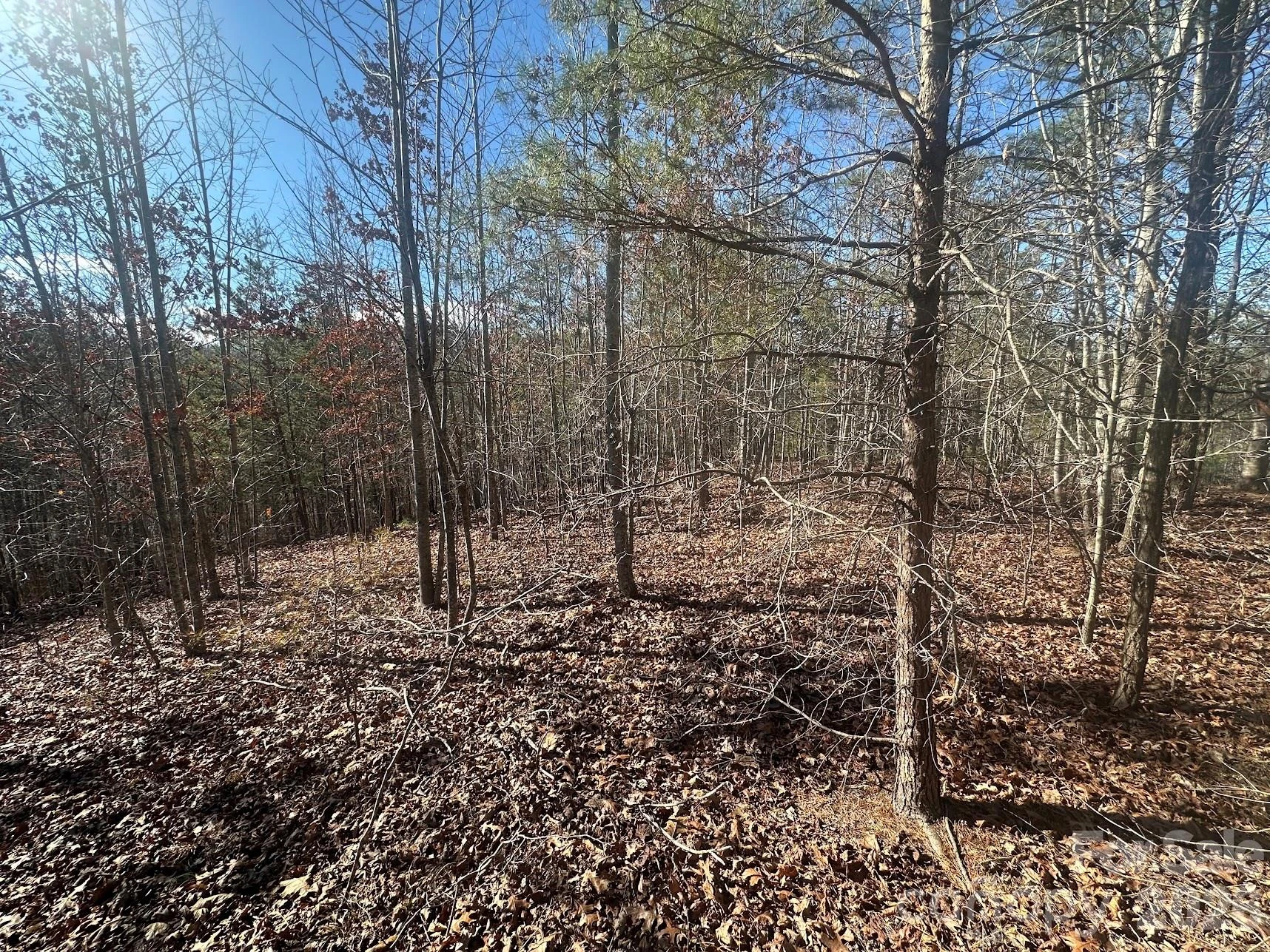 127 Robinwood Trail - Photo 5