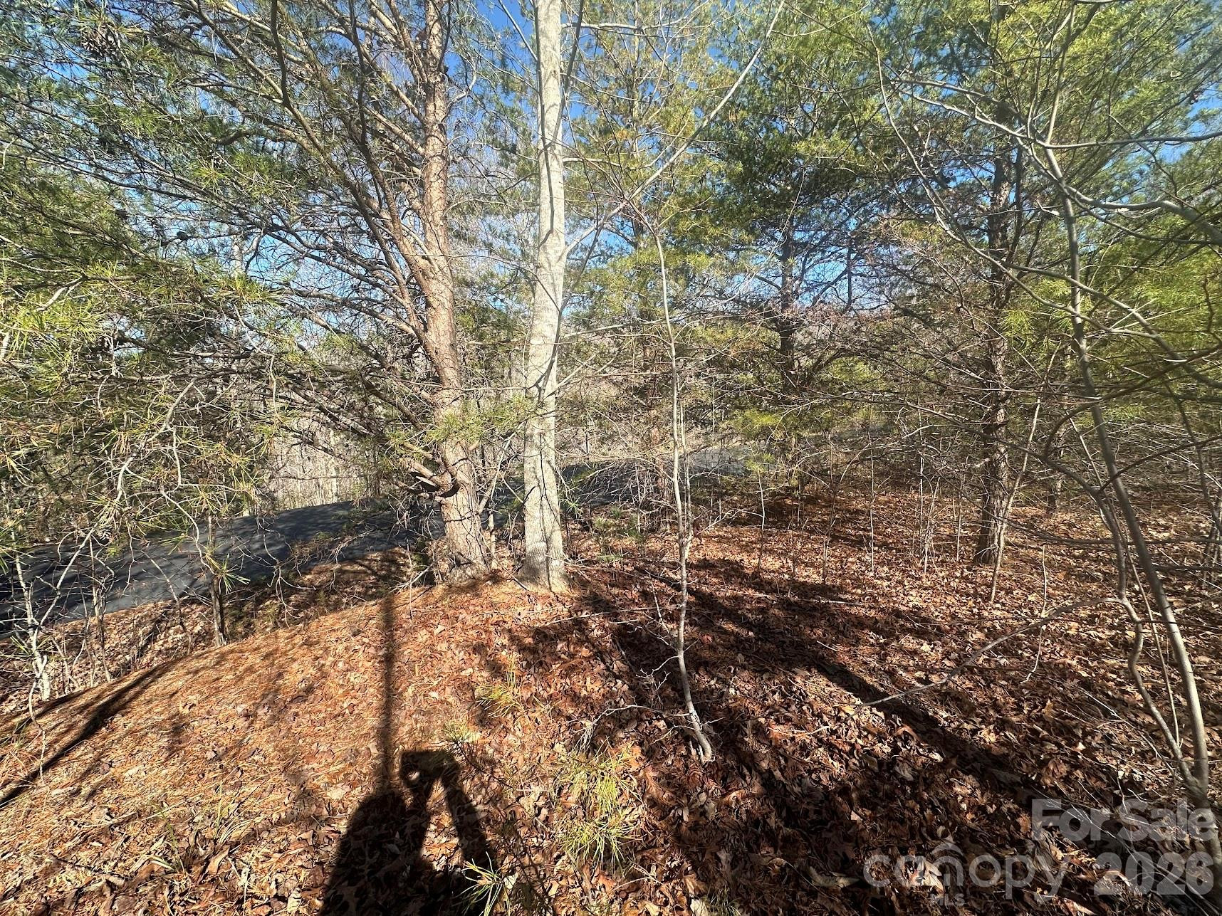 127 Robinwood Trail - Photo 6