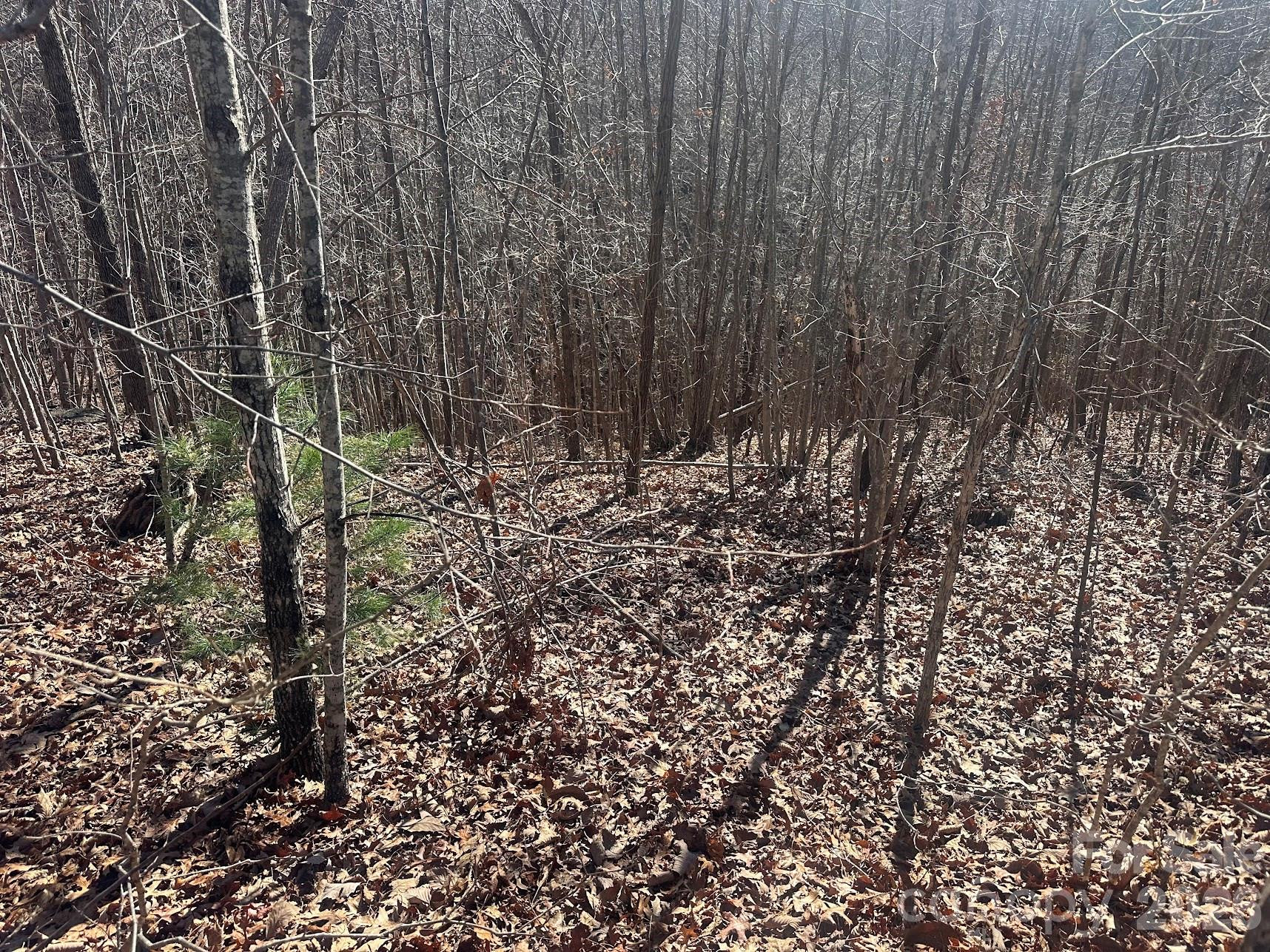 127 Robinwood Trail - Photo 7