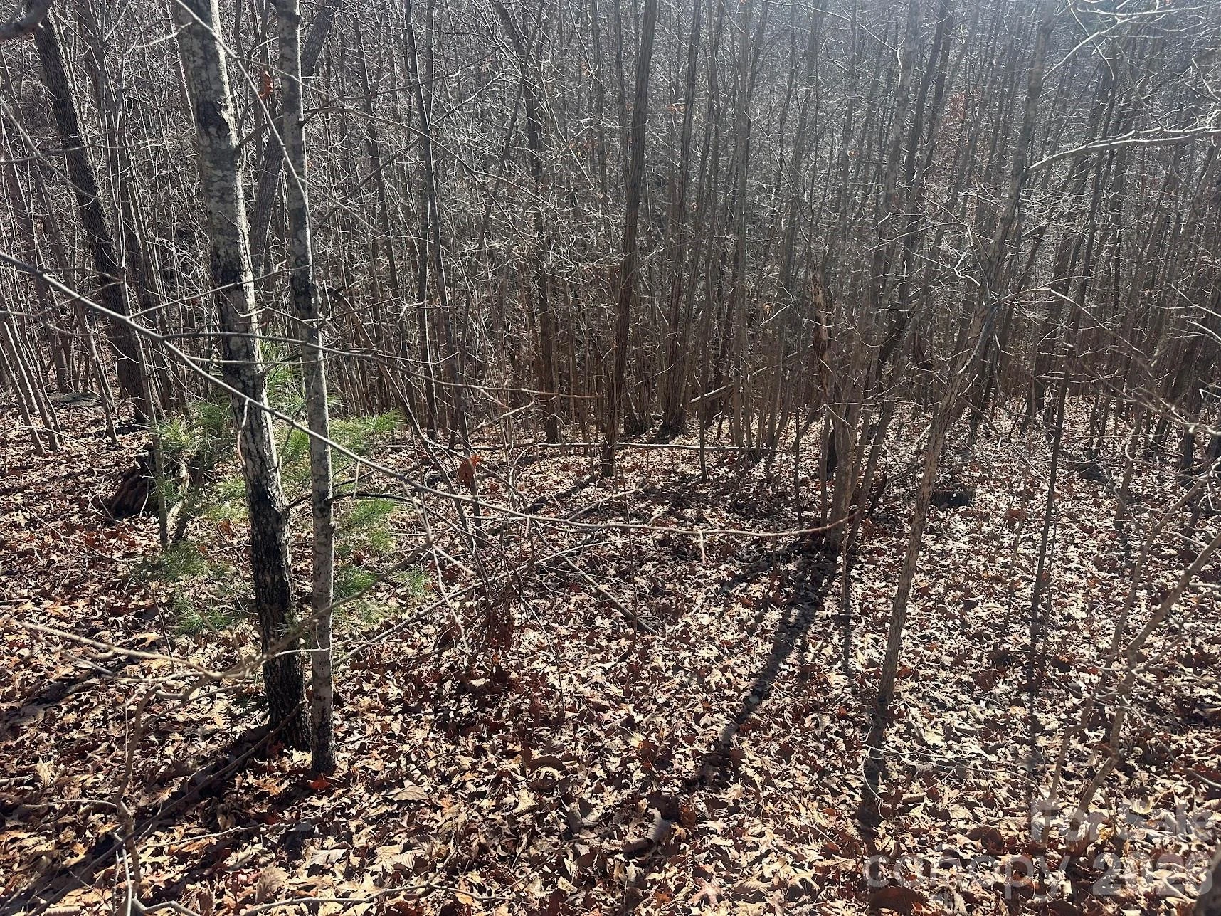 127 Robinwood Trail - Photo 7