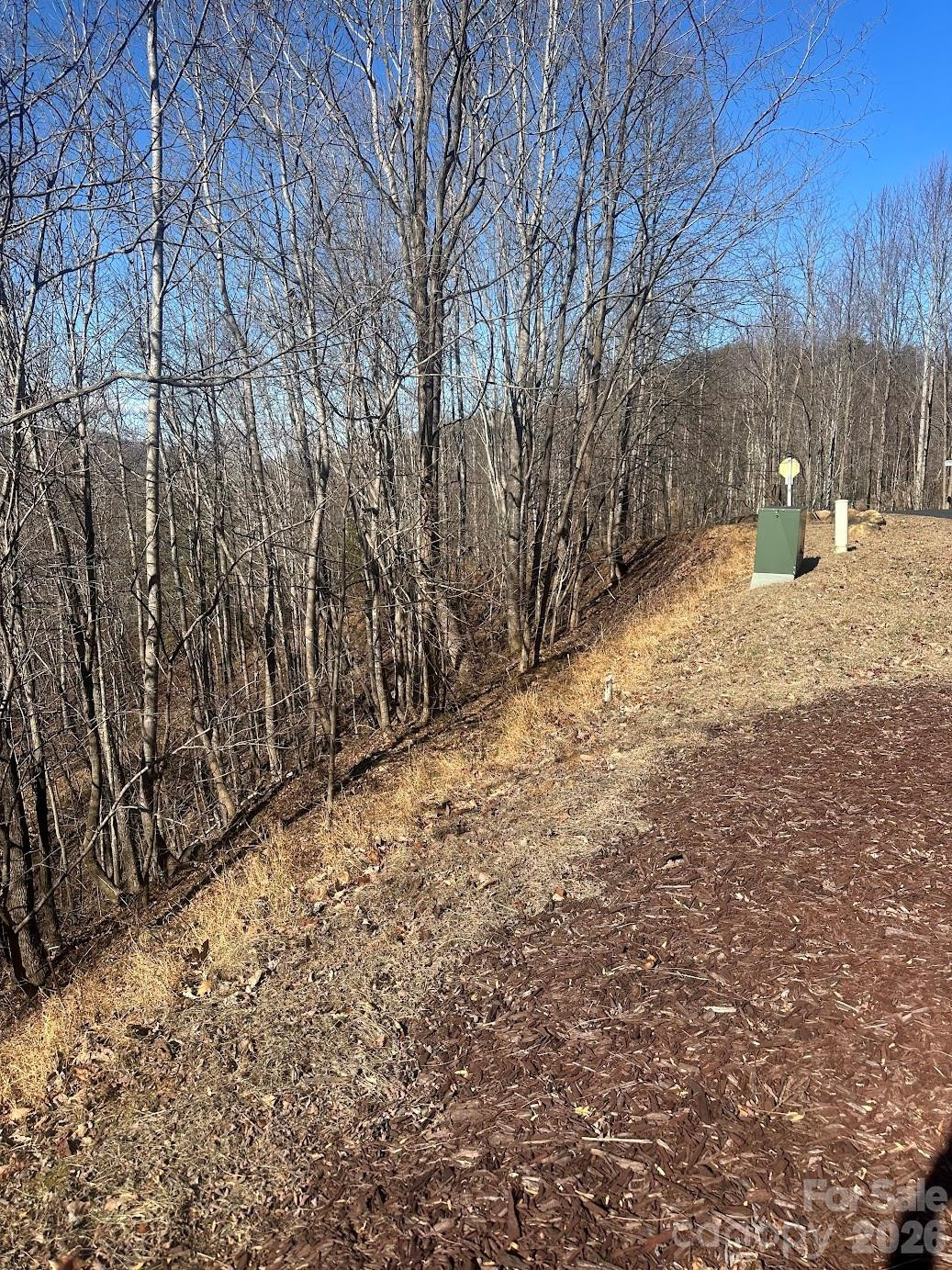 127 Robinwood Trail - Photo 8