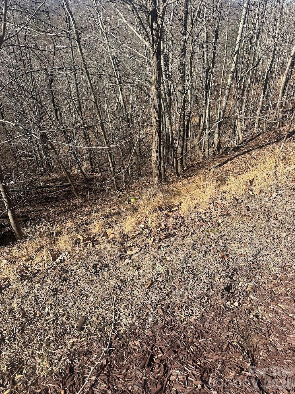 127 Robinwood Trail - Photo 9