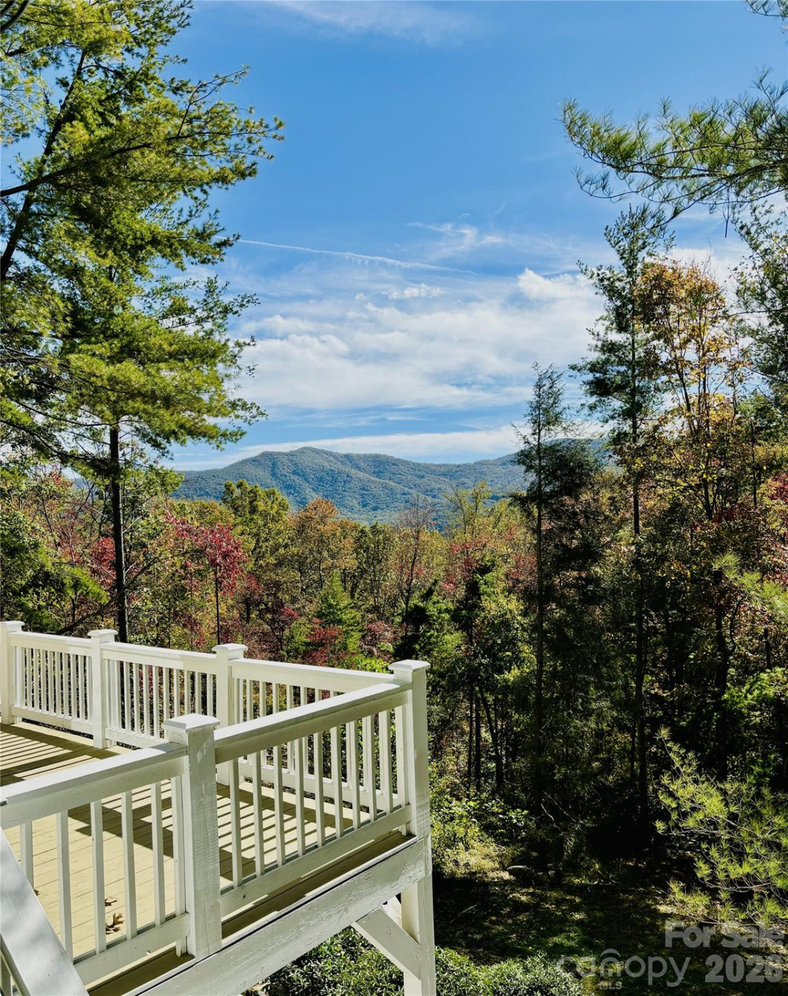 320 Woodland Drive - Photo 2