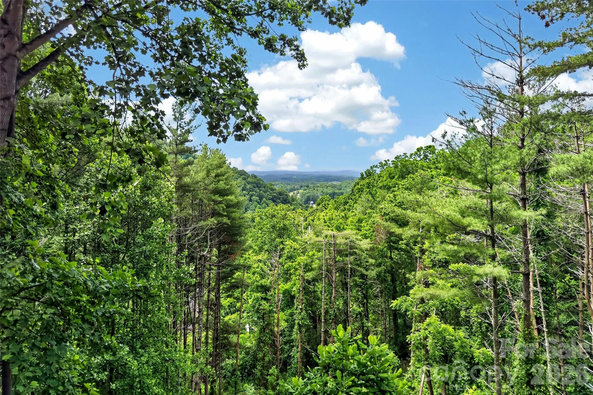 491 Valley View Drive - Photo 3