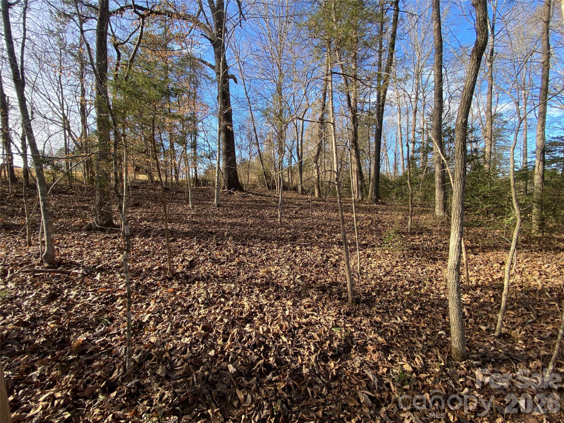 0 US Hwy 64/74A Highway - Photo 2