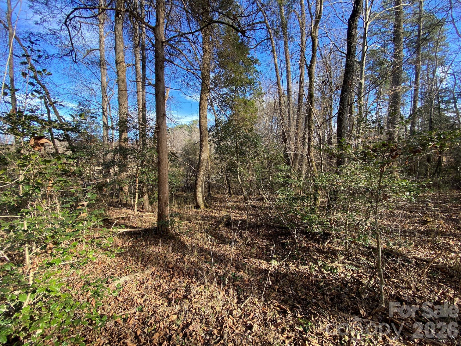 0 US Hwy 64/74A Highway - Photo 11