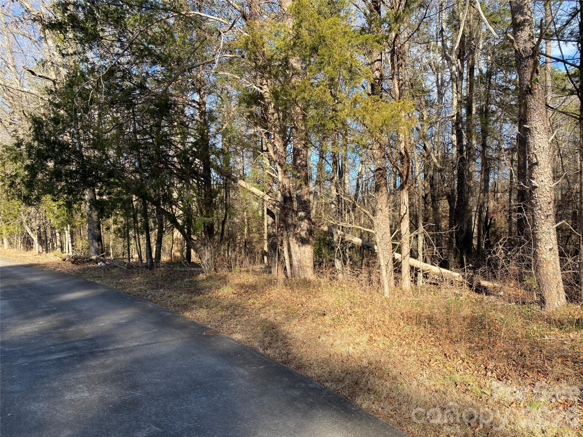 0 US Hwy 64/74A Highway - Photo 12