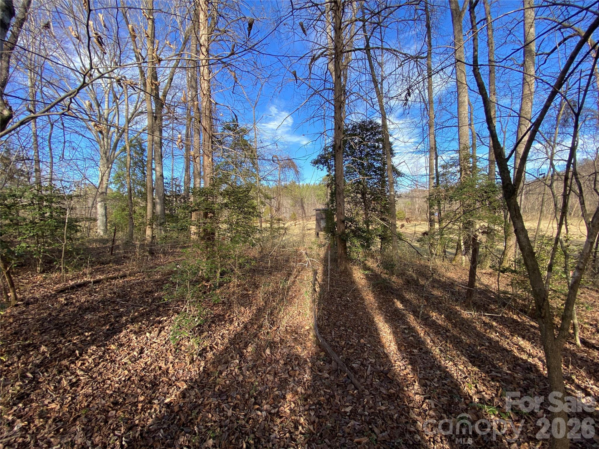 0 US Hwy 64/74A Highway - Photo 4