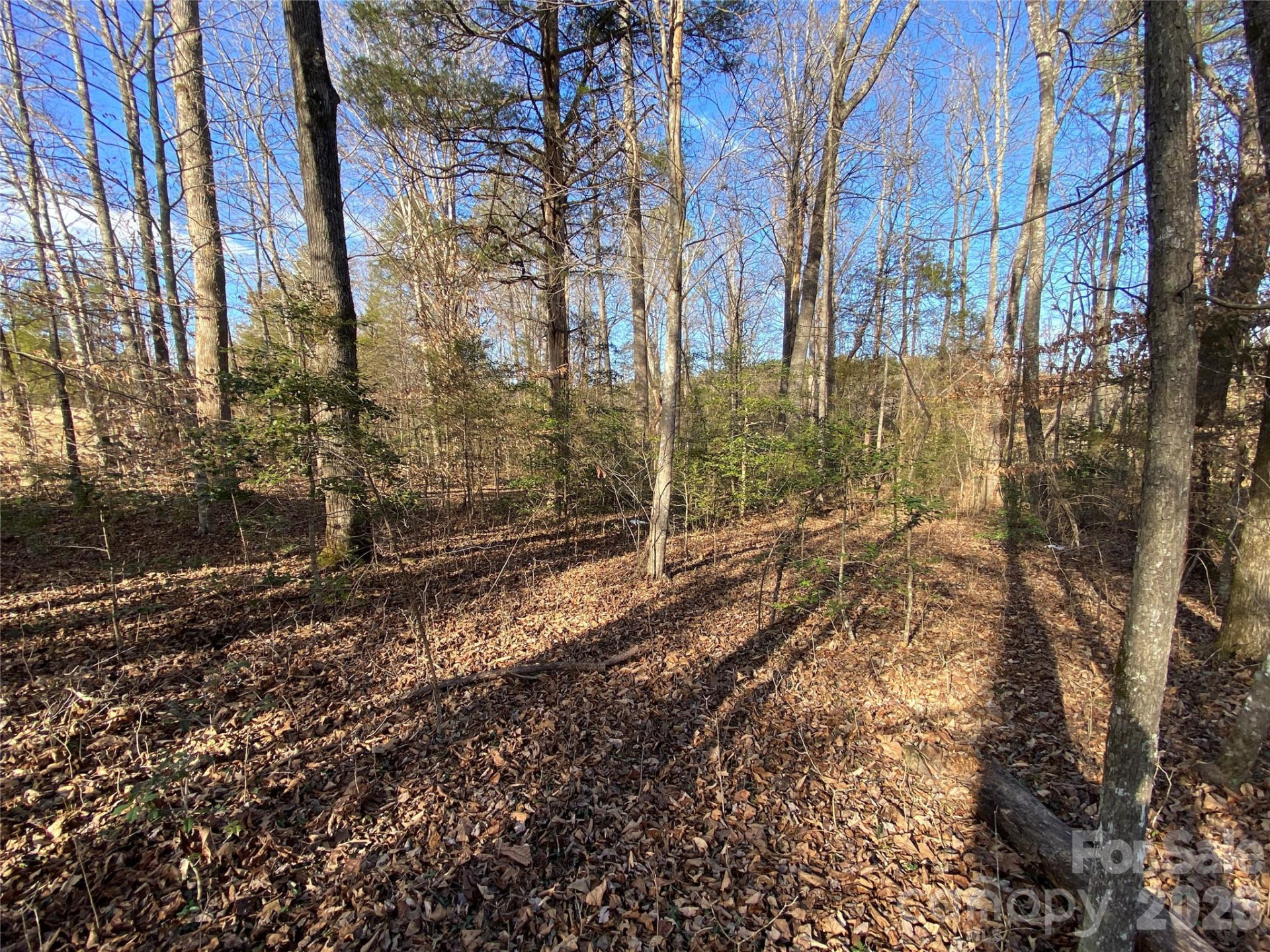 0 US Hwy 64/74A Highway - Photo 5